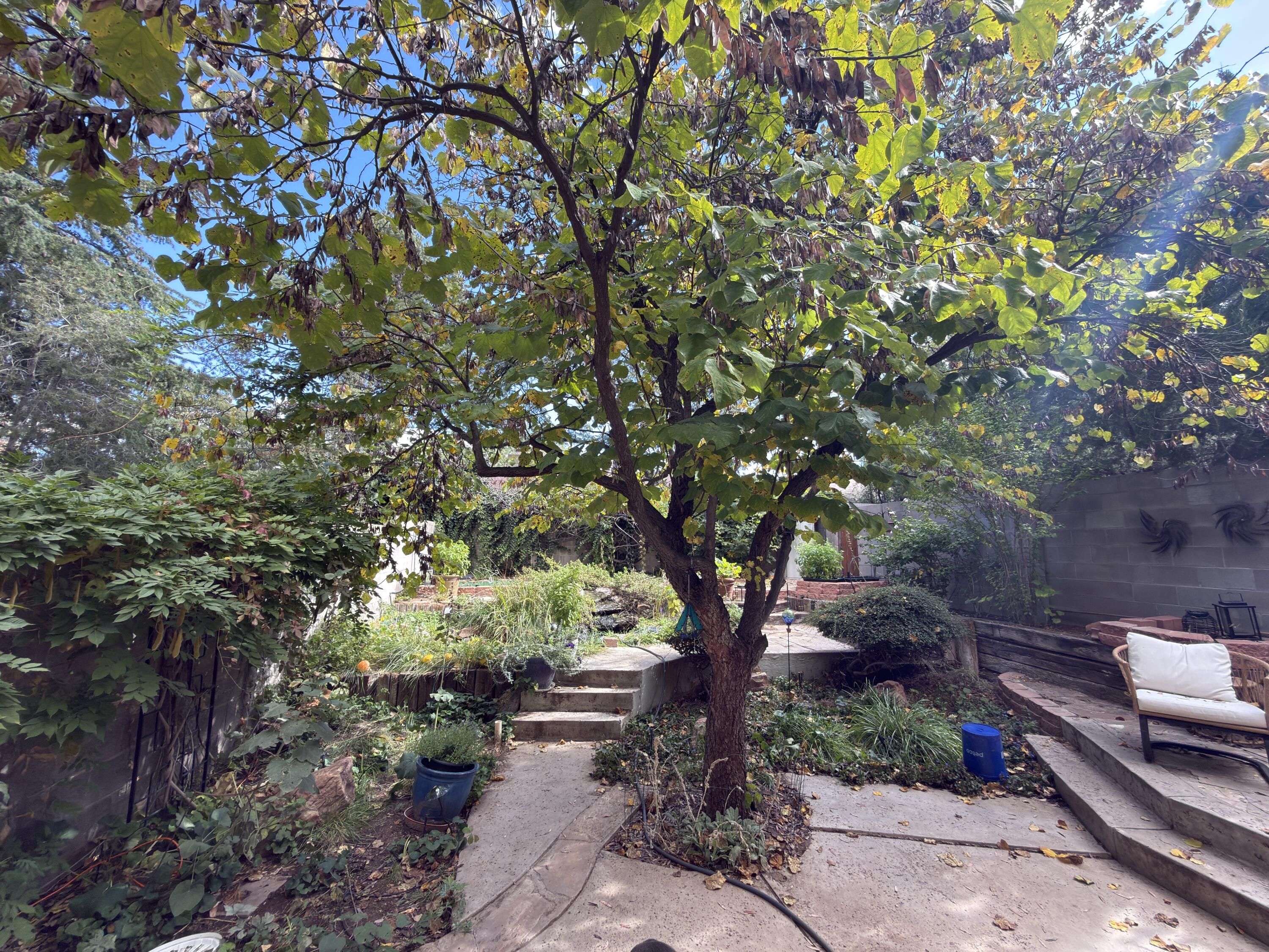 Photo 3 — 5536 Overlook Drive NE