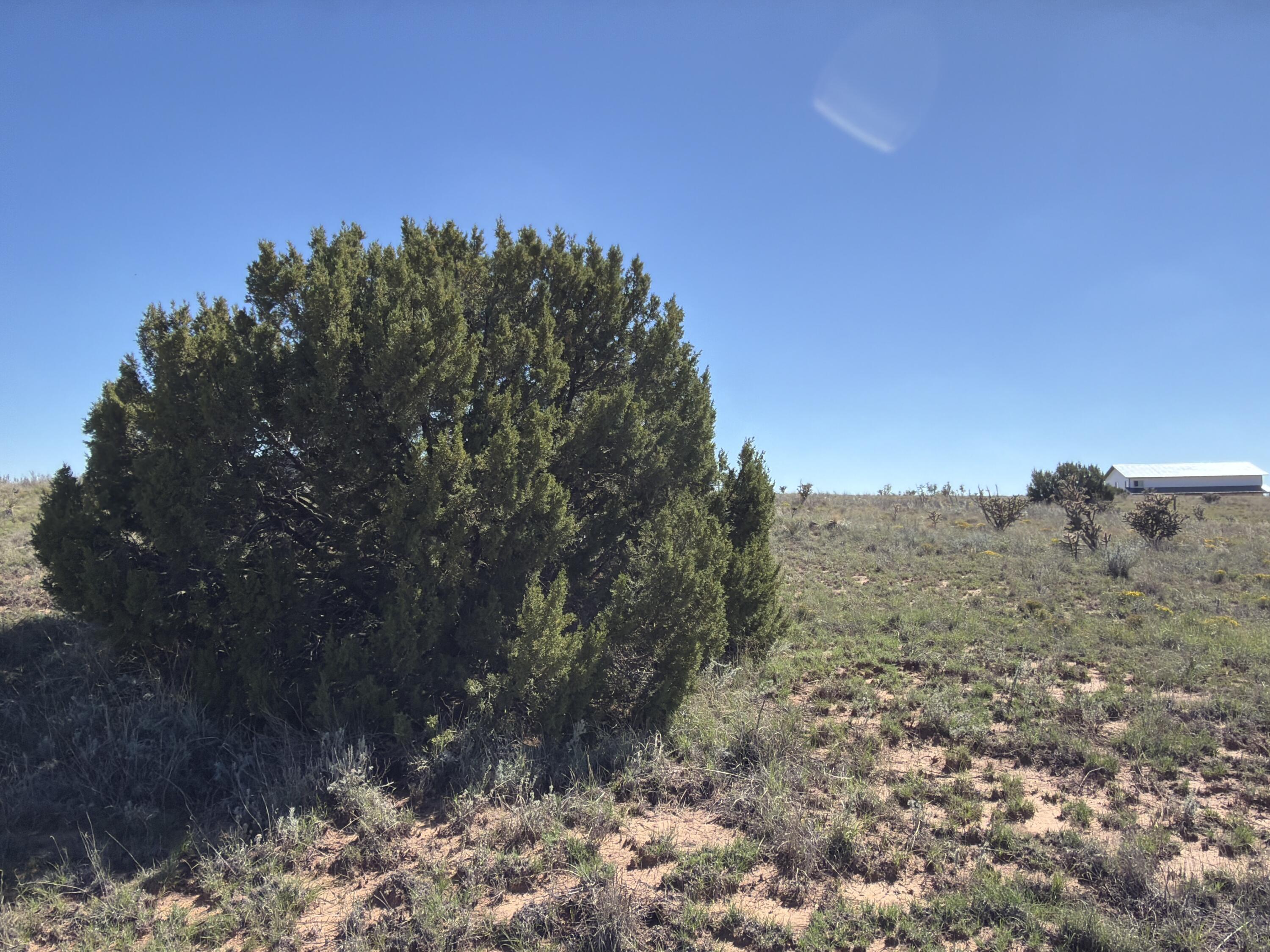 Photo 9 — 62 Northland Meadows Drive
