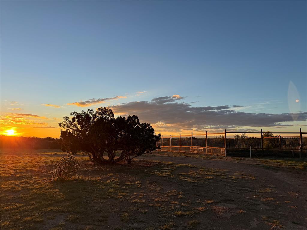 Photo 14 — 50 Cattle Drive