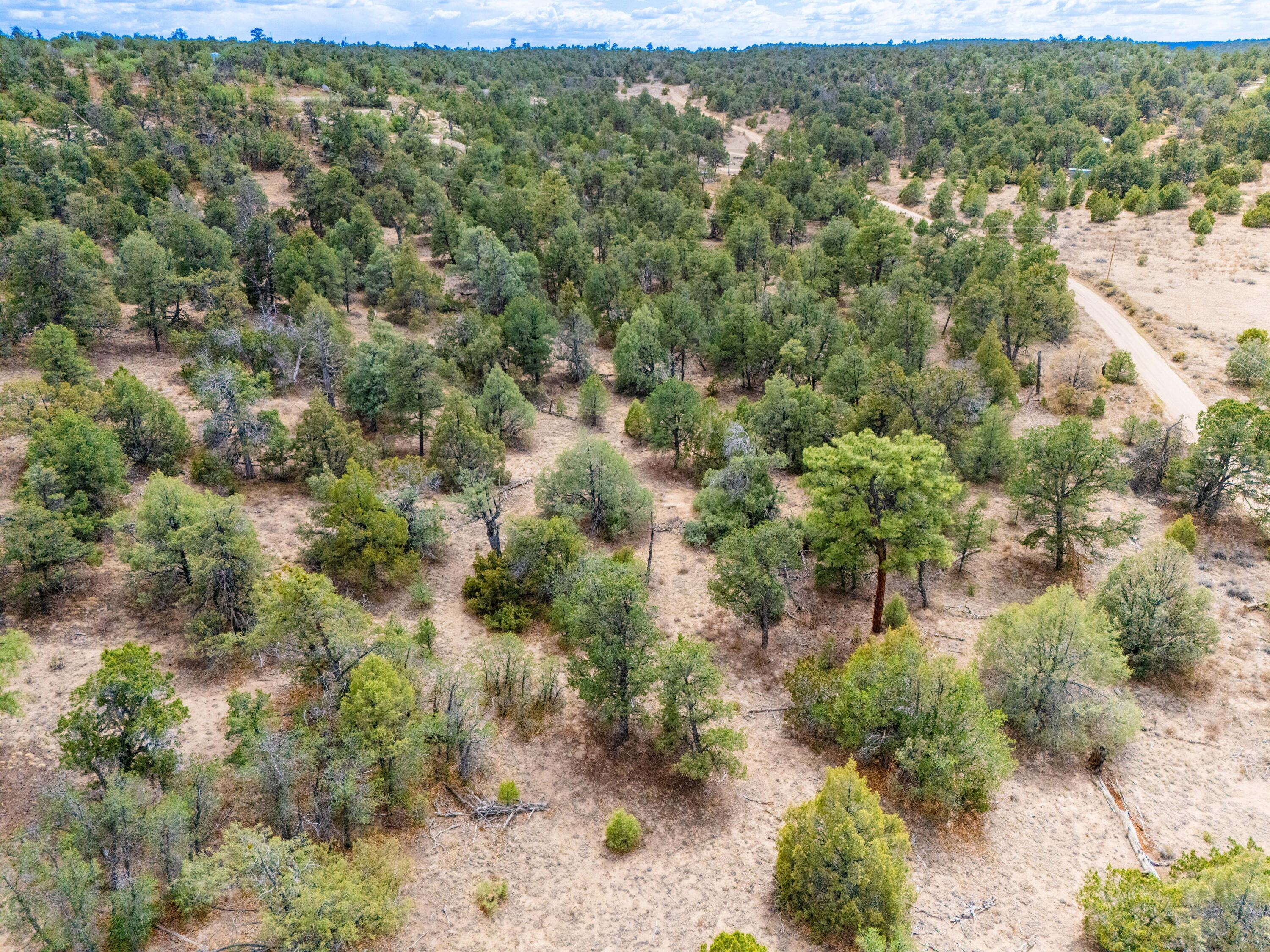 Photo 2 —  Lot 4 Misty Lane