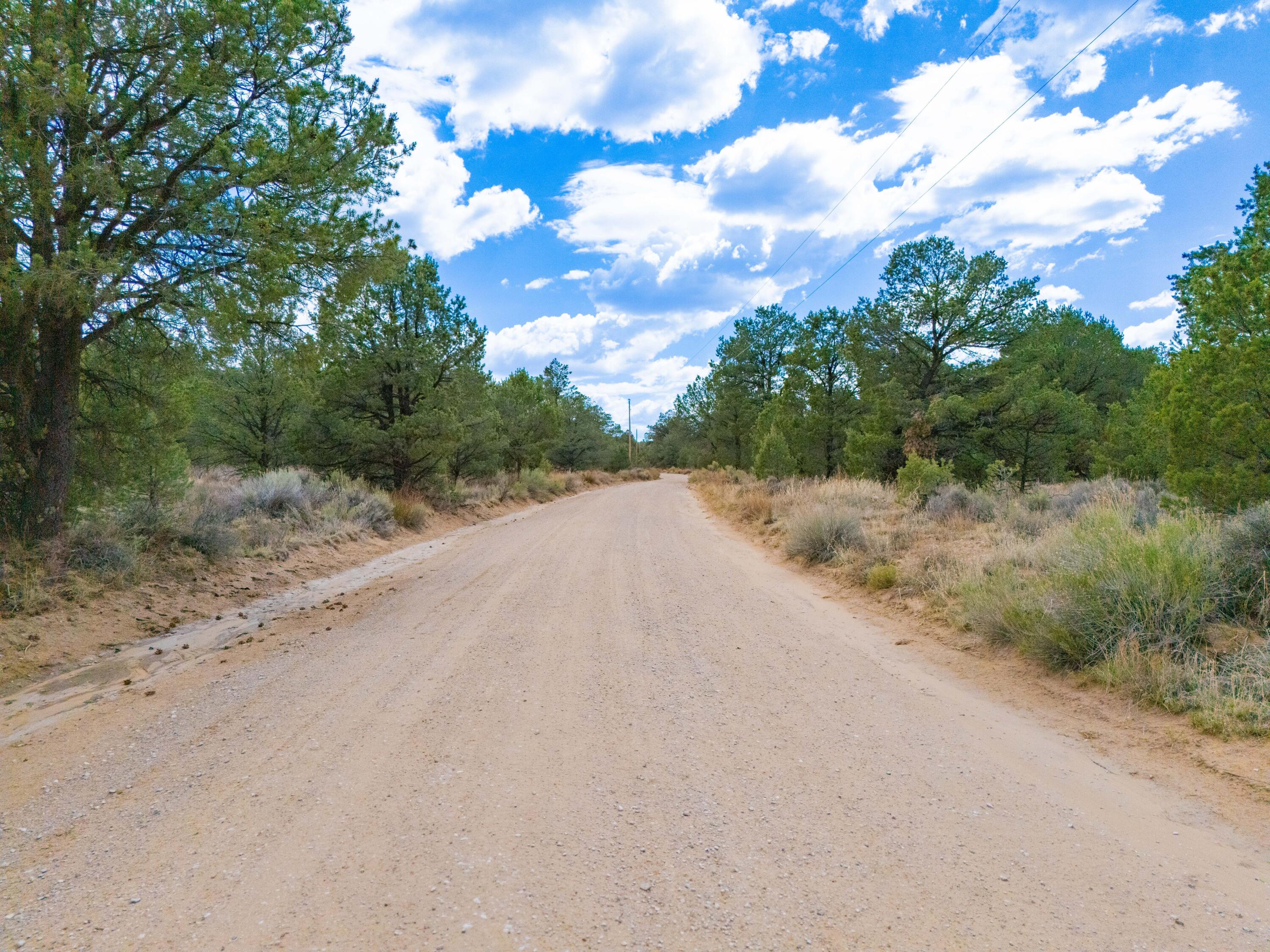 Photo 4 —  Lot 4 Misty Lane