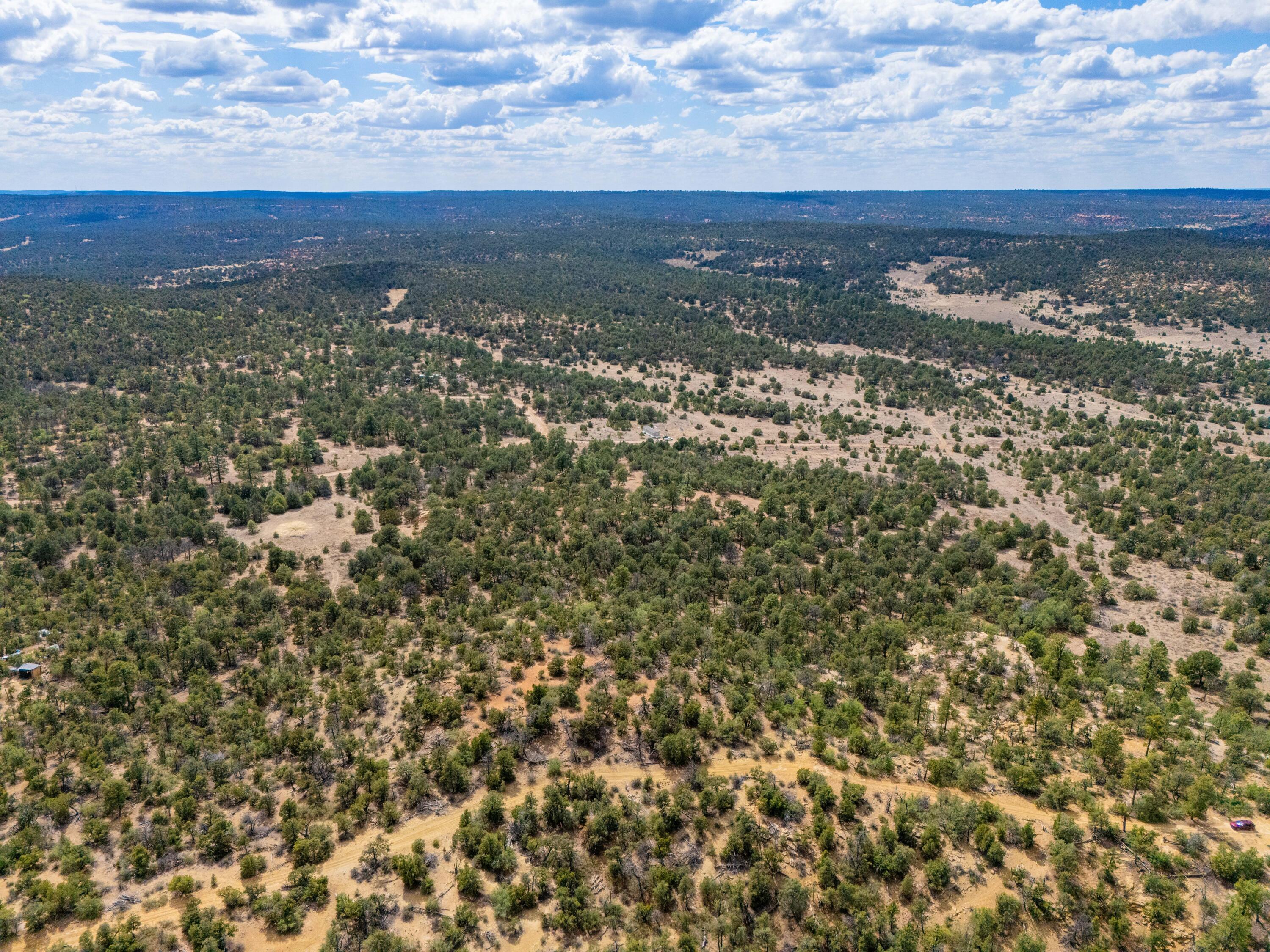 Photo 18 —  Lot 12 Lost Road