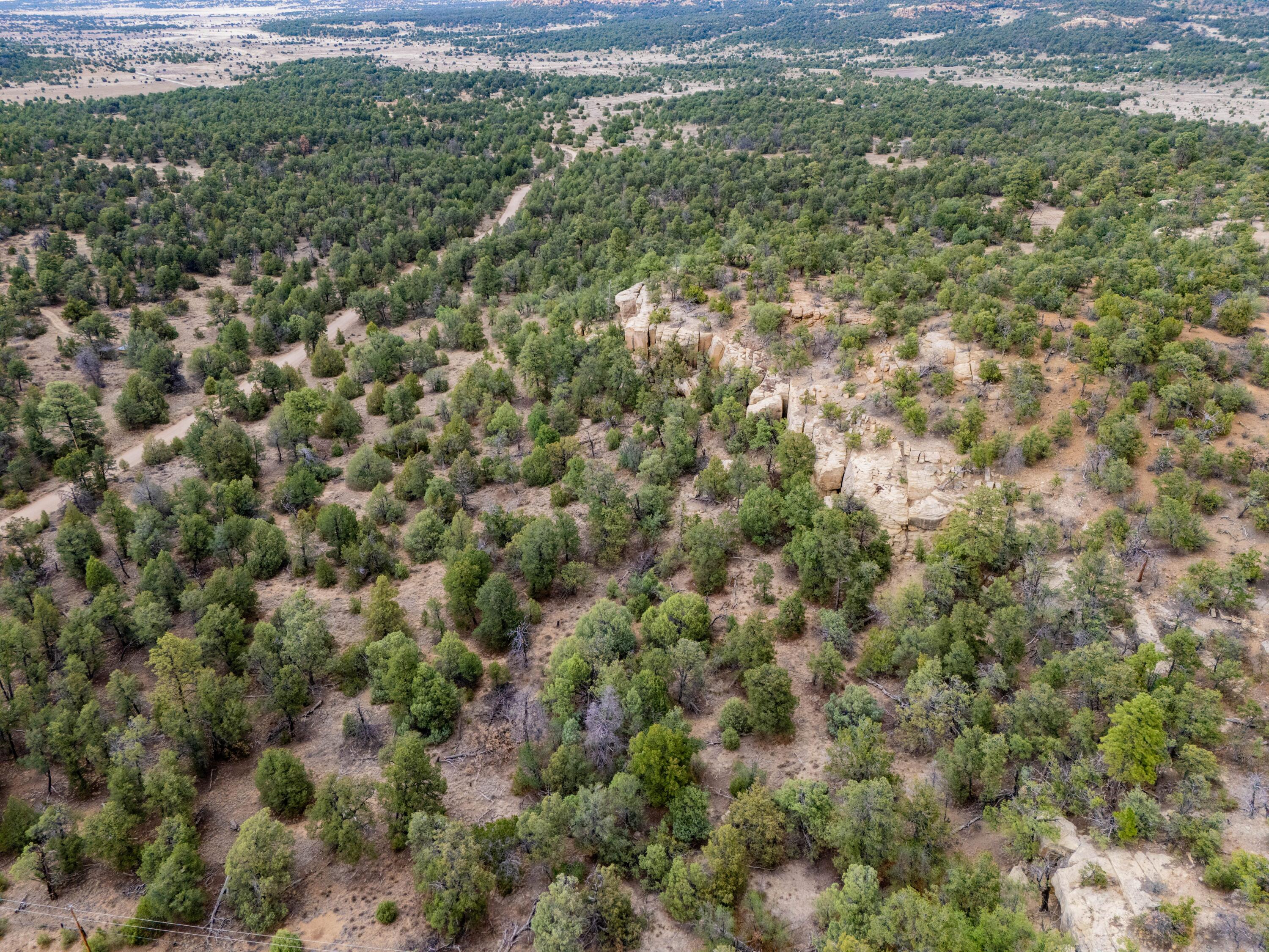 Photo 17 —  Lot 12 Lost Road