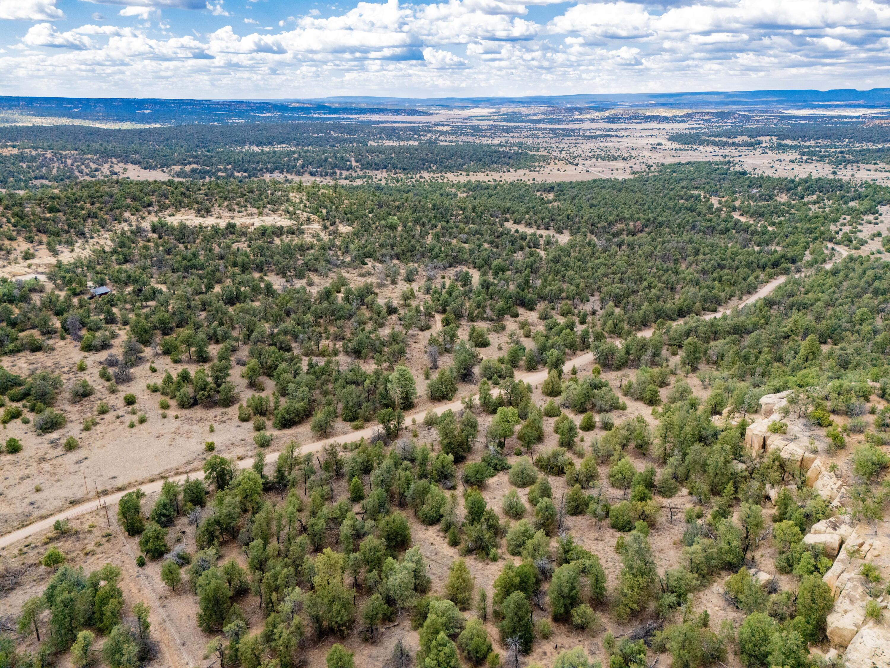 Photo 16 —  Lot 12 Lost Road