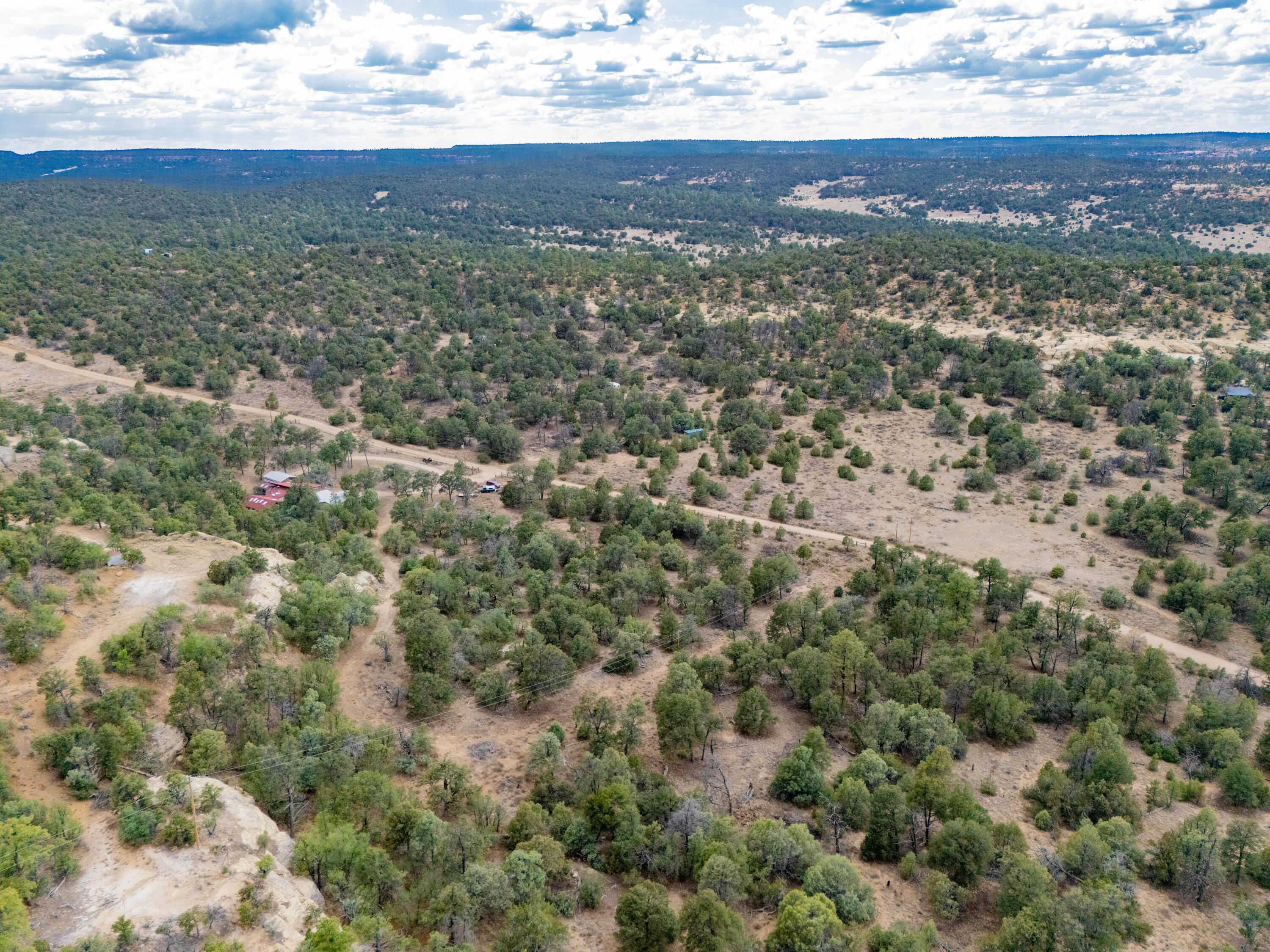 Photo 15 —  Lot 12 Lost Road