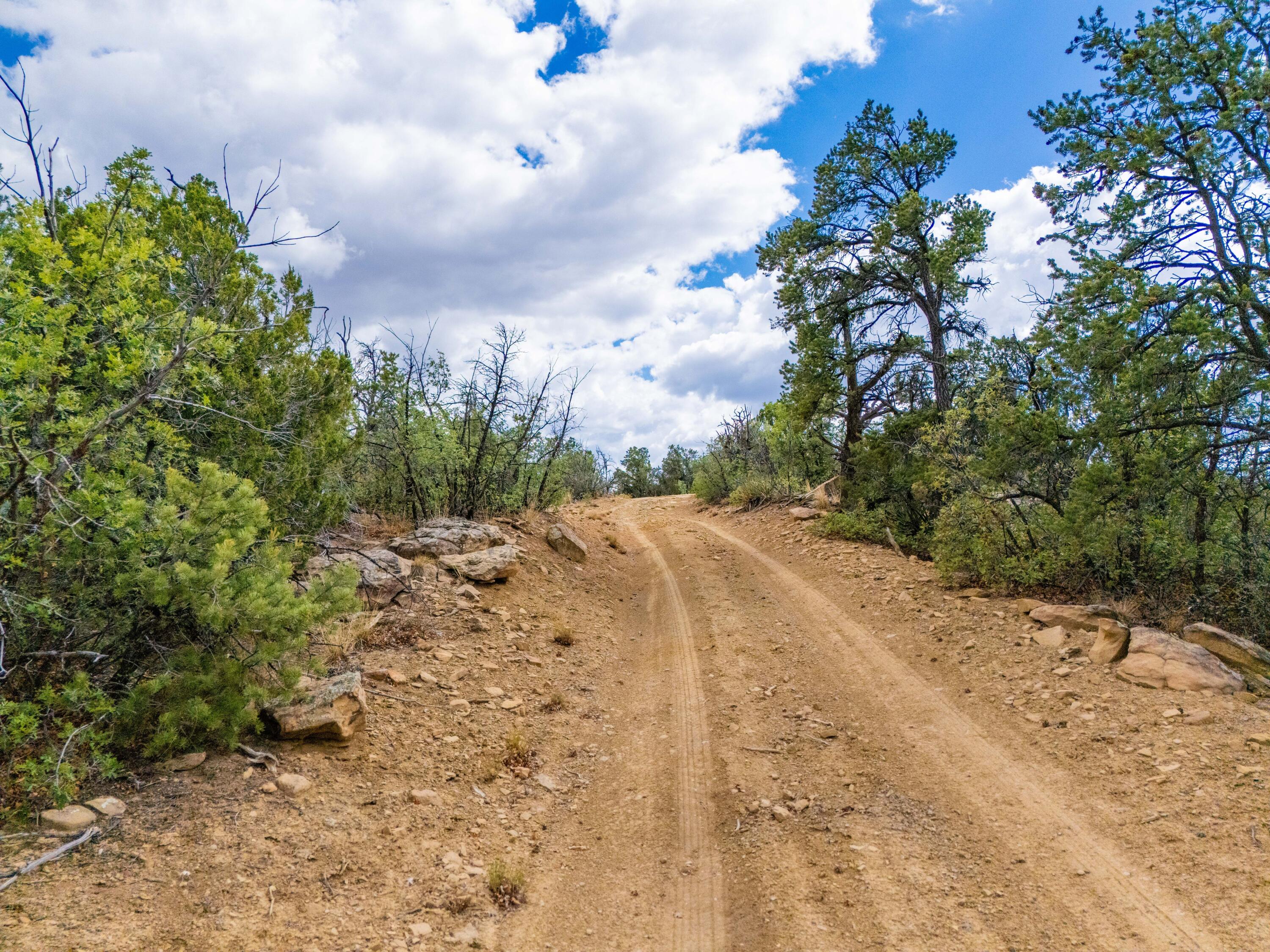 Photo 14 —  Lot 12 Lost Road