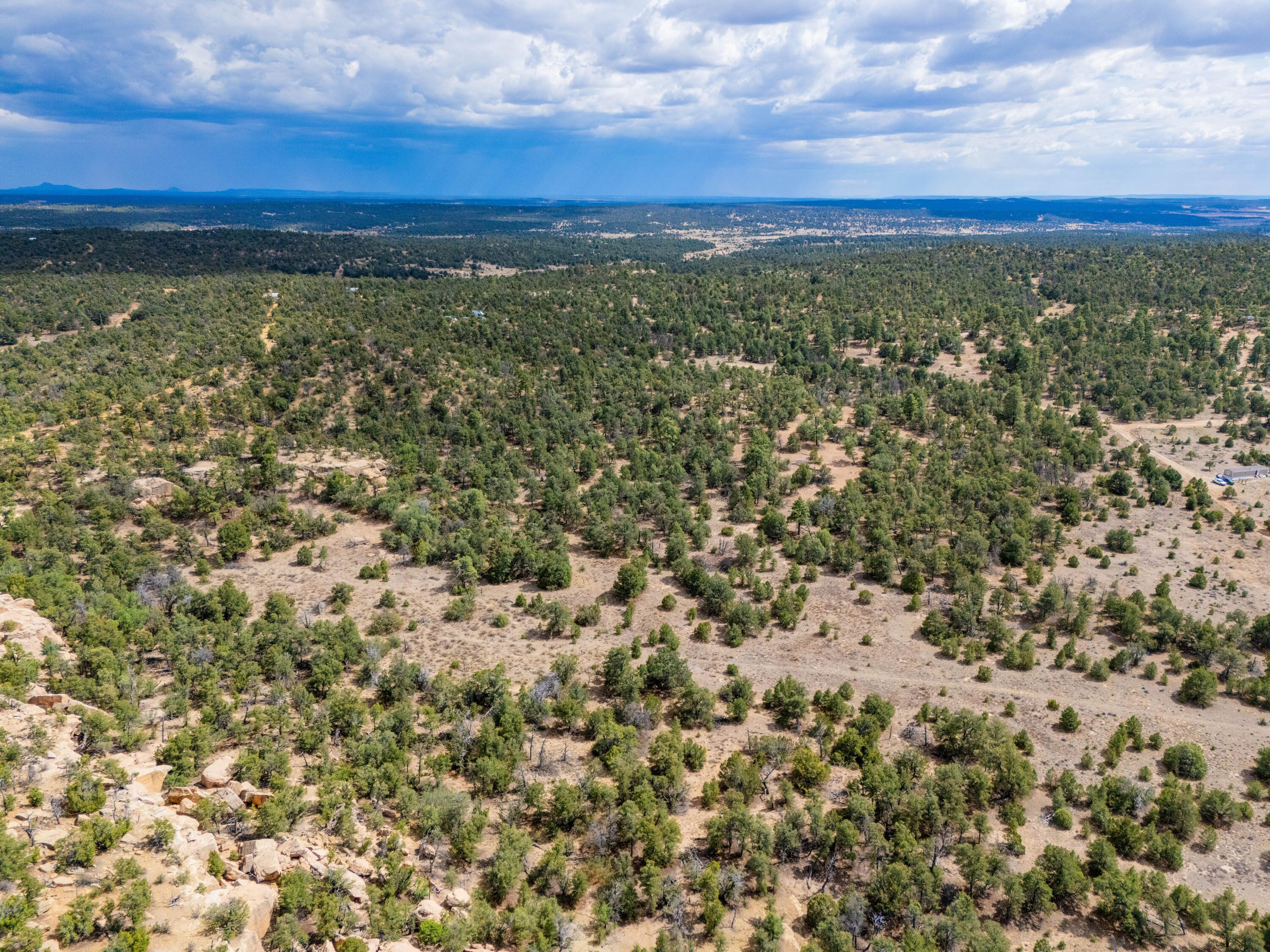 Photo 12 —  Lot 12 Lost Road