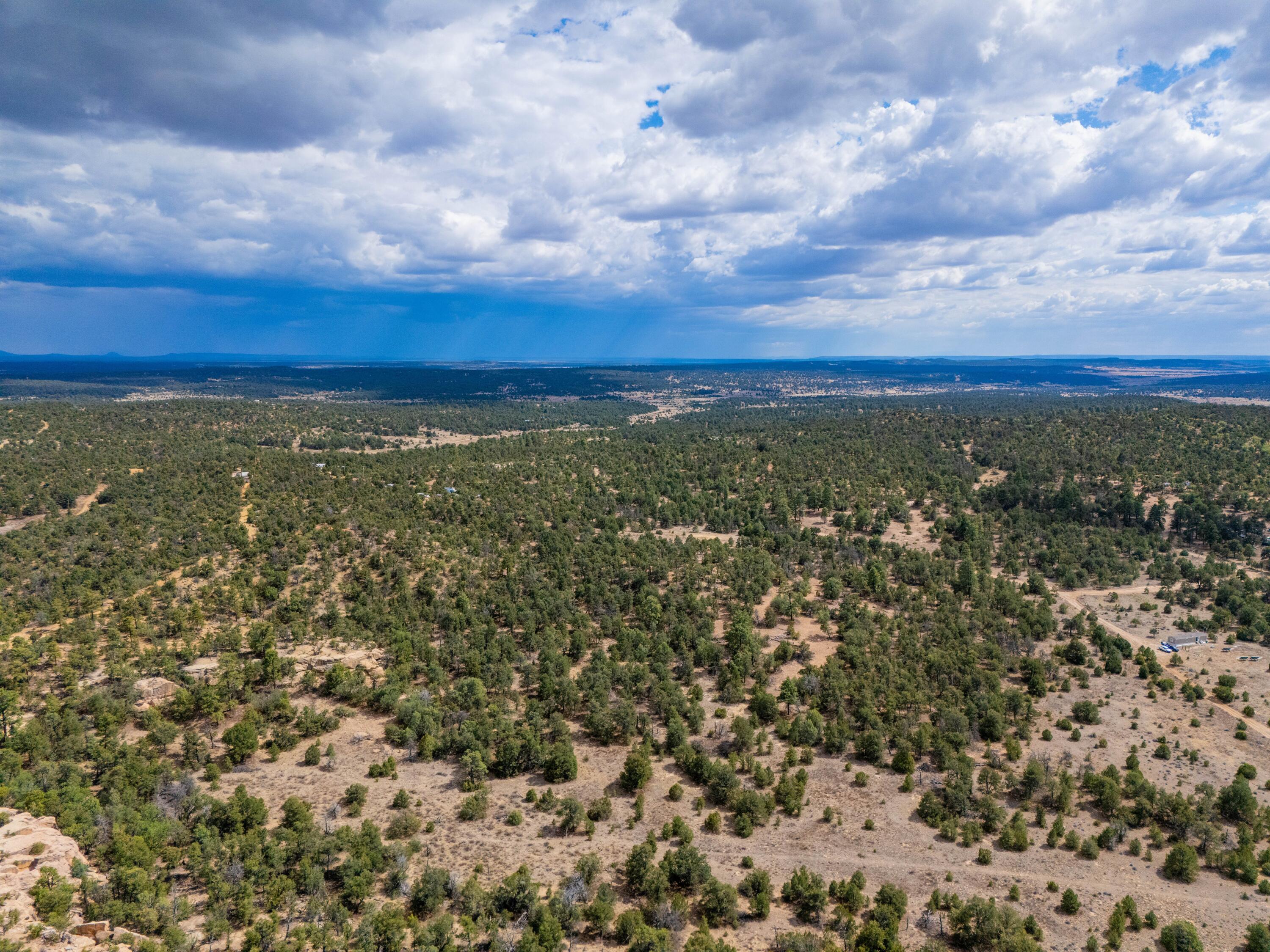 Photo 11 —  Lot 12 Lost Road
