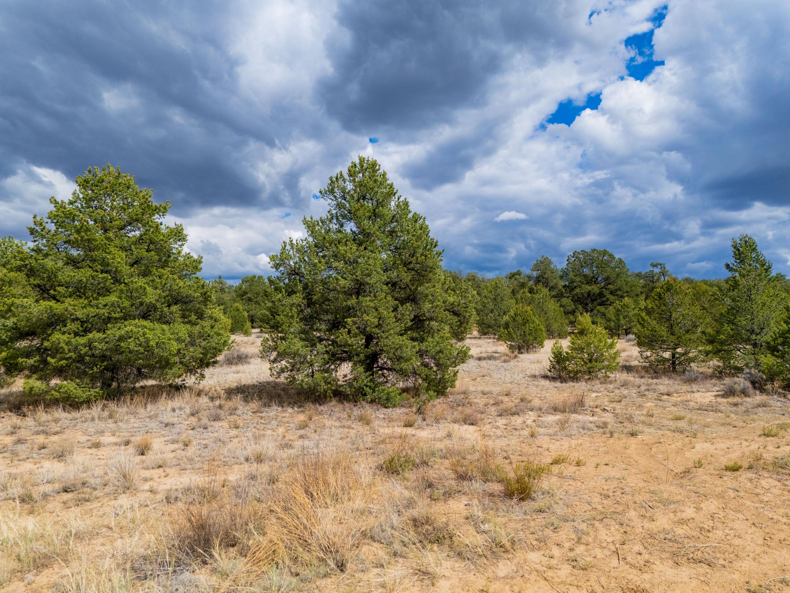 Photo 10 —  Lot 12 Lost Road