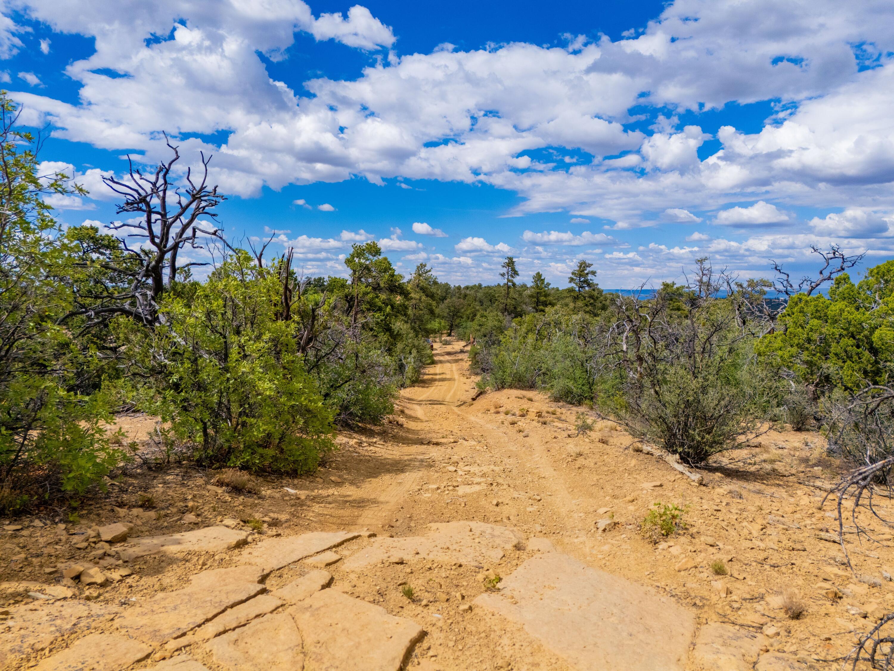 Photo 9 —  Lot 12 Lost Road