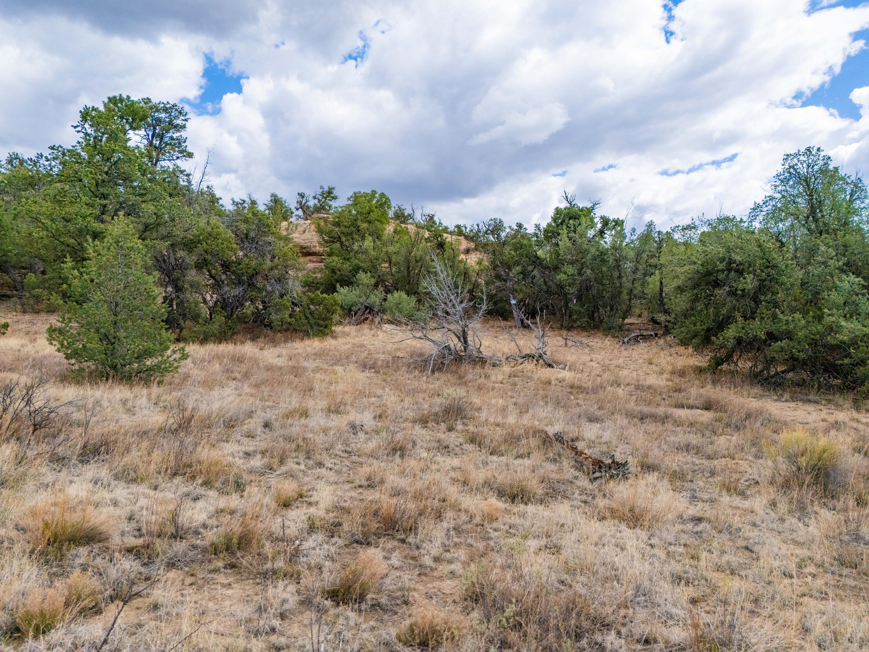 Photo 7 —  Lot 12 Lost Road