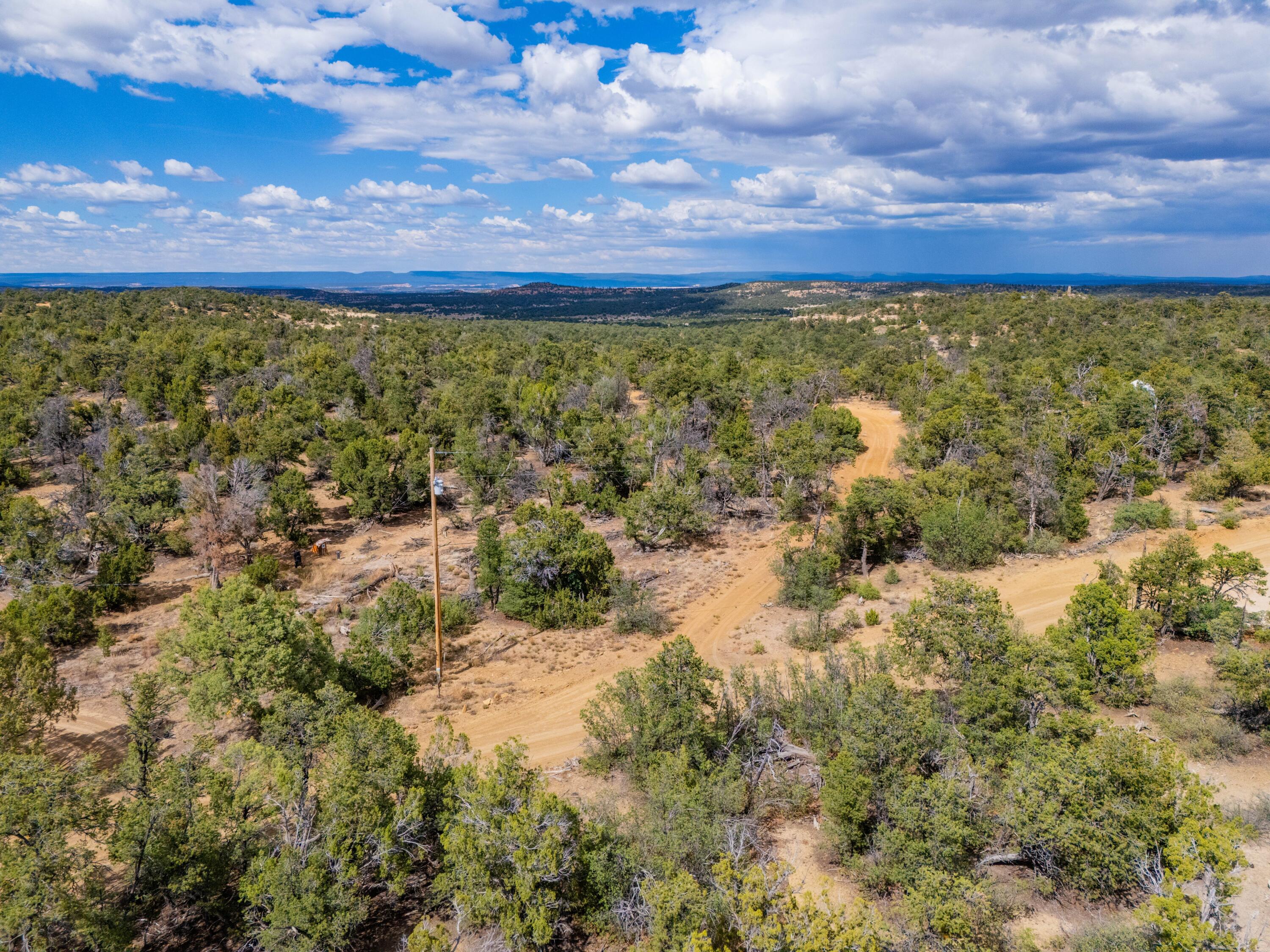 Photo 5 —  Lot 12 Lost Road