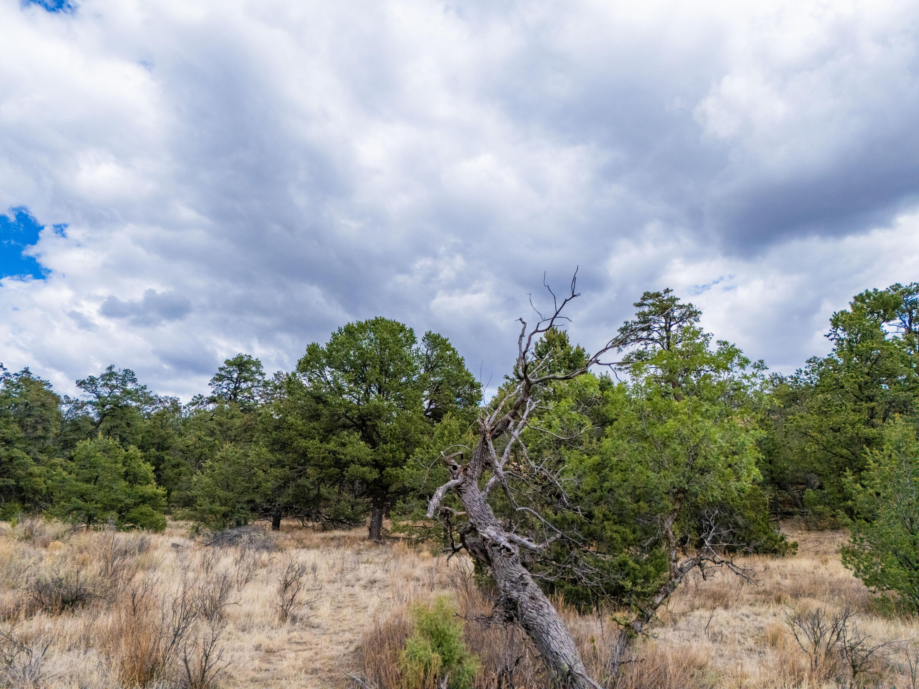 Photo 4 —  Lot 12 Lost Road