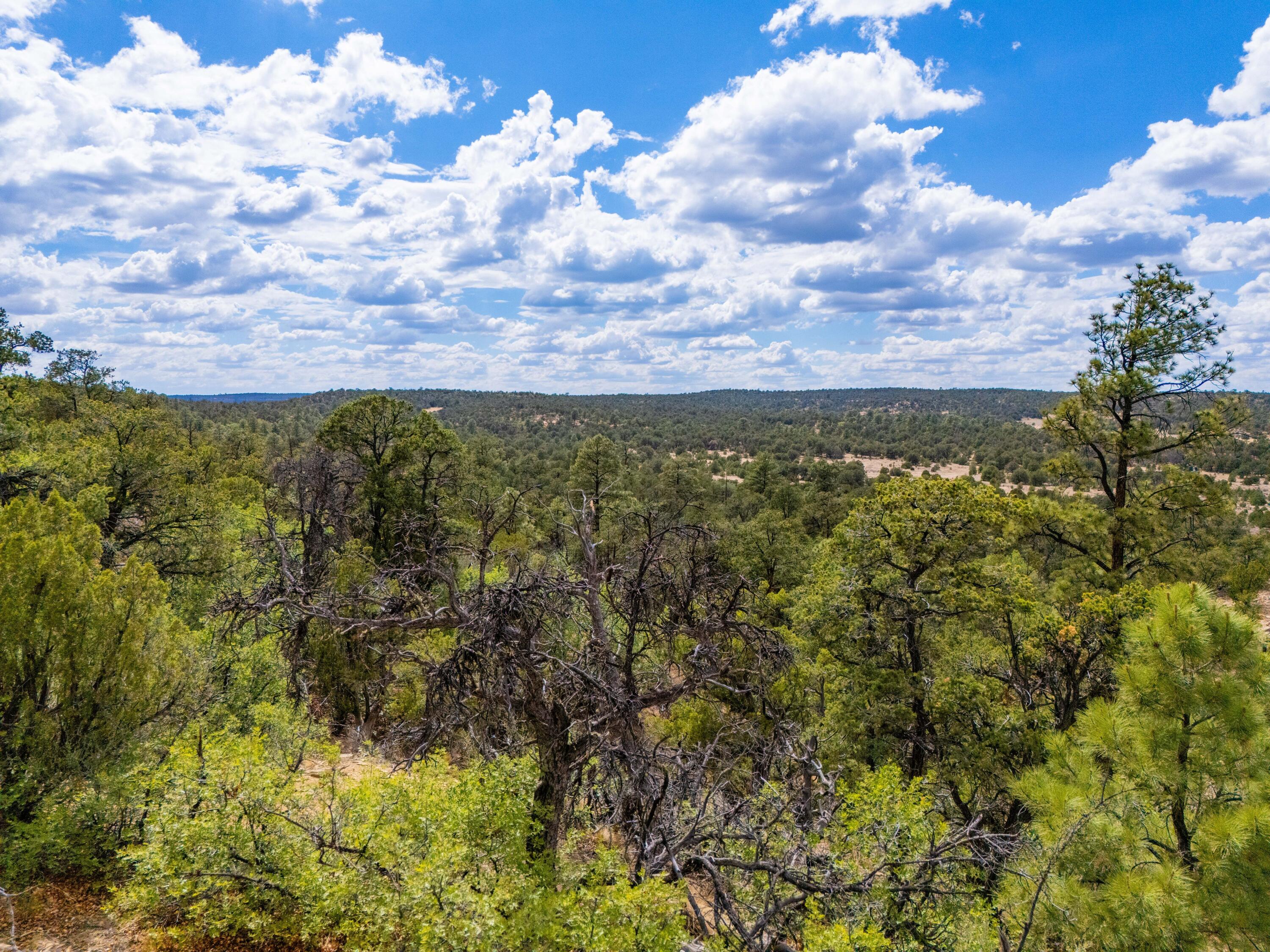 Photo 3 —  Lot 12 Lost Road