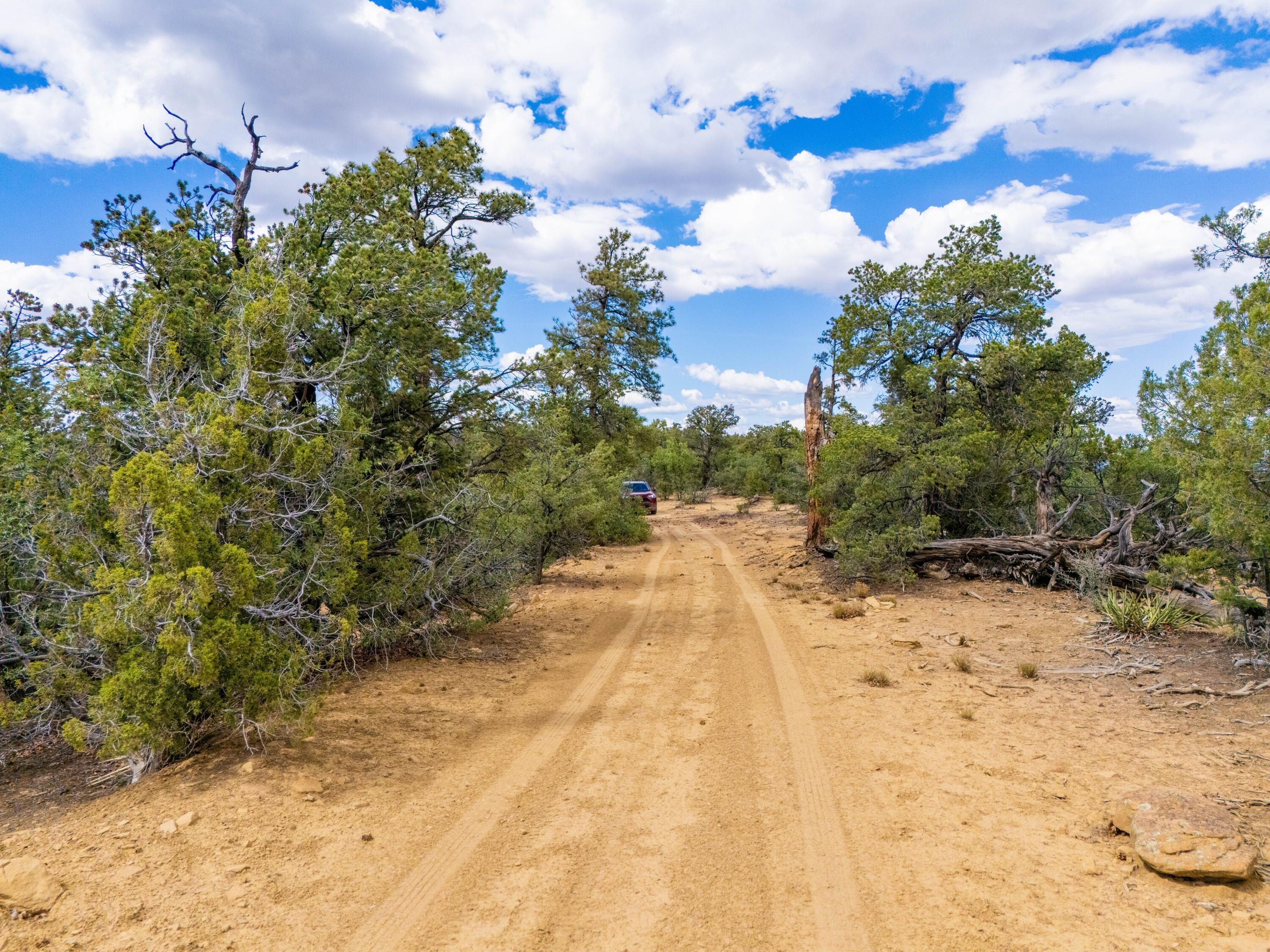 Photo 2 —  Lot 12 Lost Road