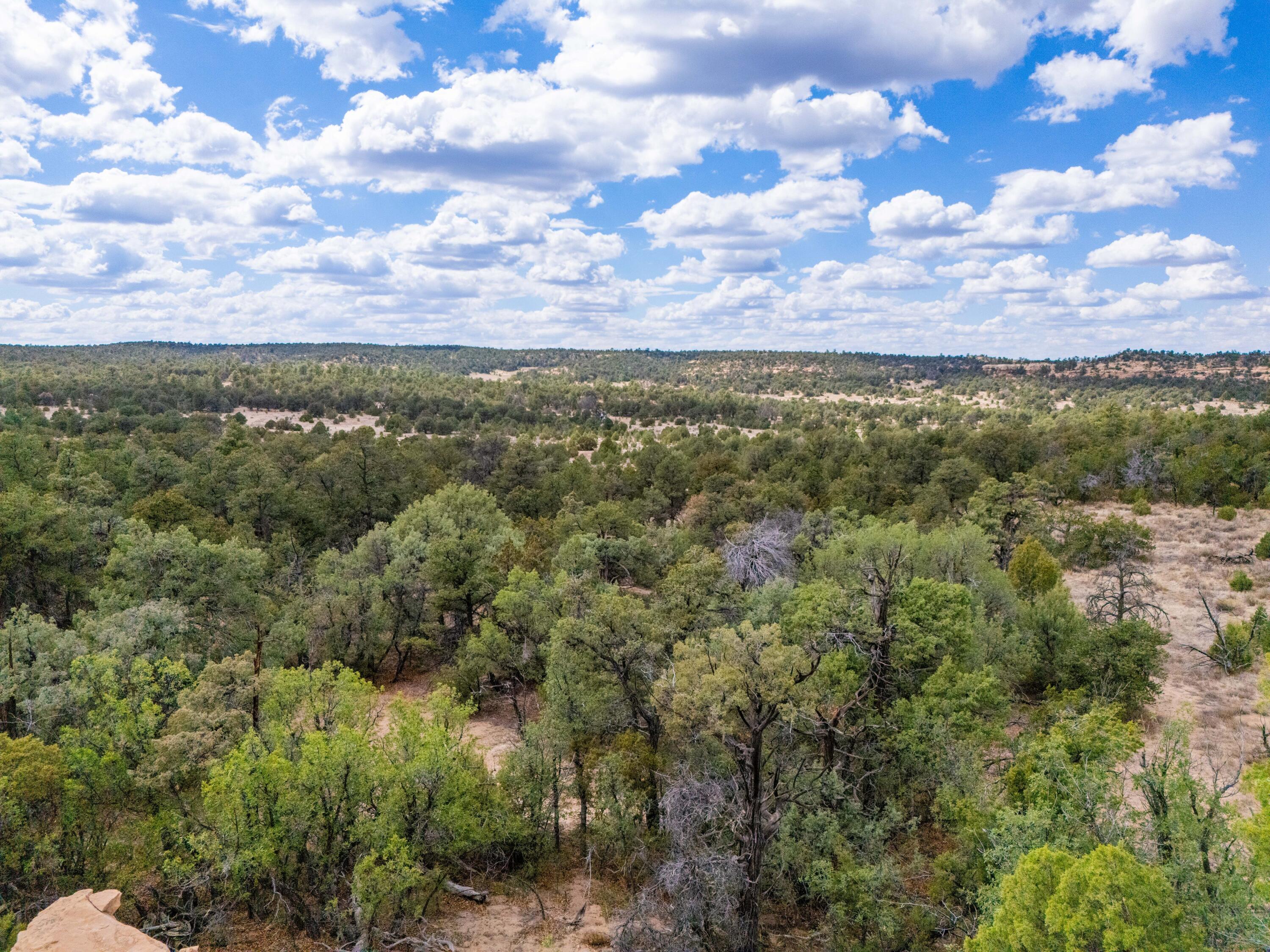 Photo 20 —  Lot 12 Lost Road
