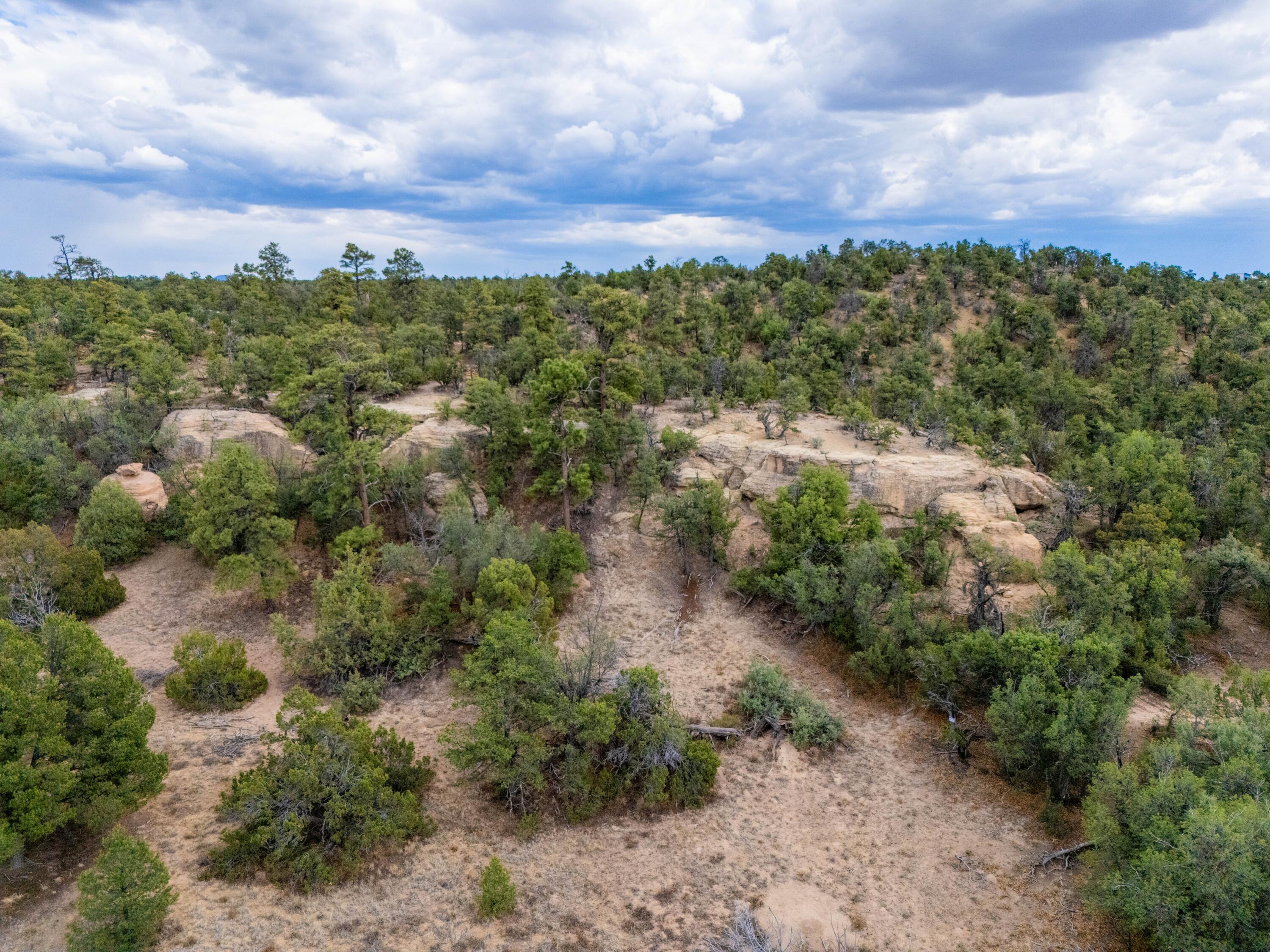 Photo 19 —  Lot 12 Lost Road