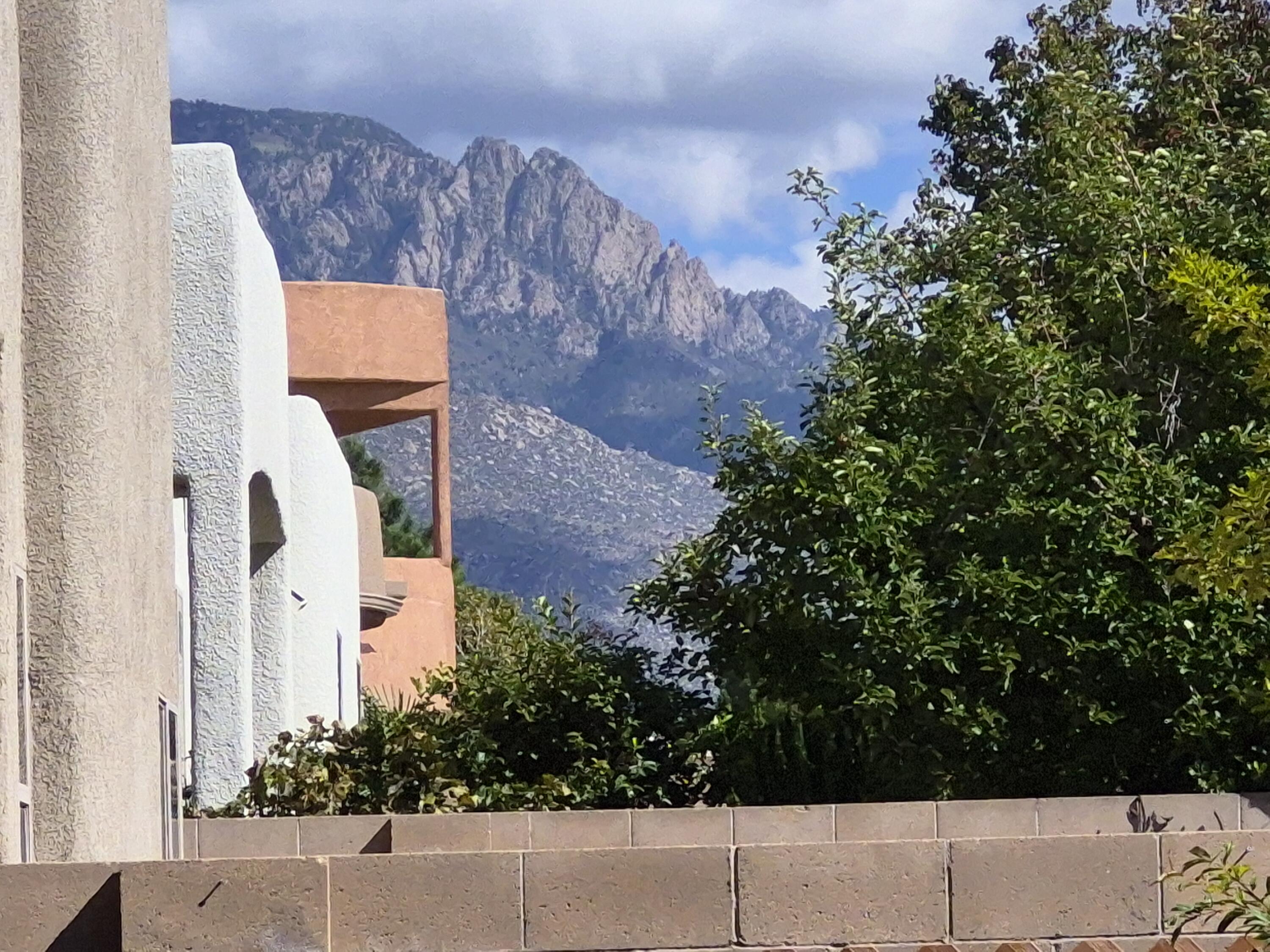 Photo 2 — 8412 Desert Sunrise Road NE