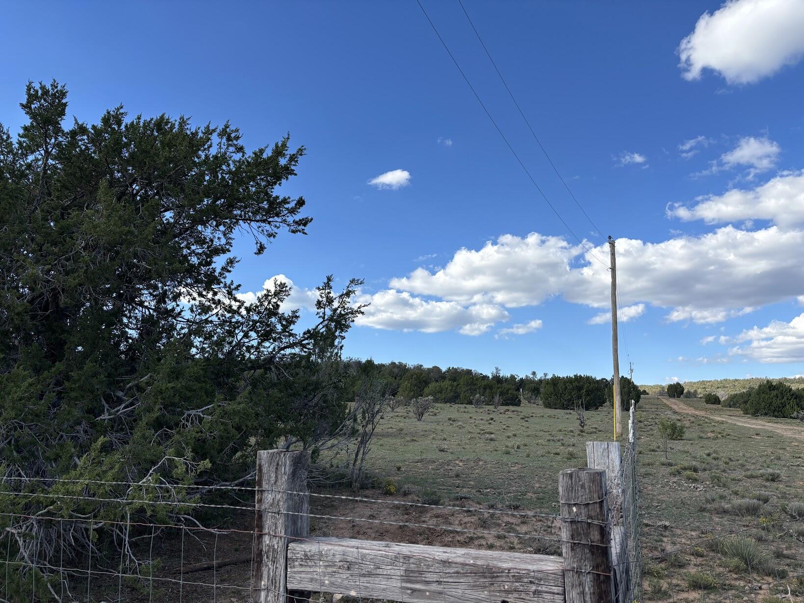Photo 9 —  Bosque View Lot 1-3