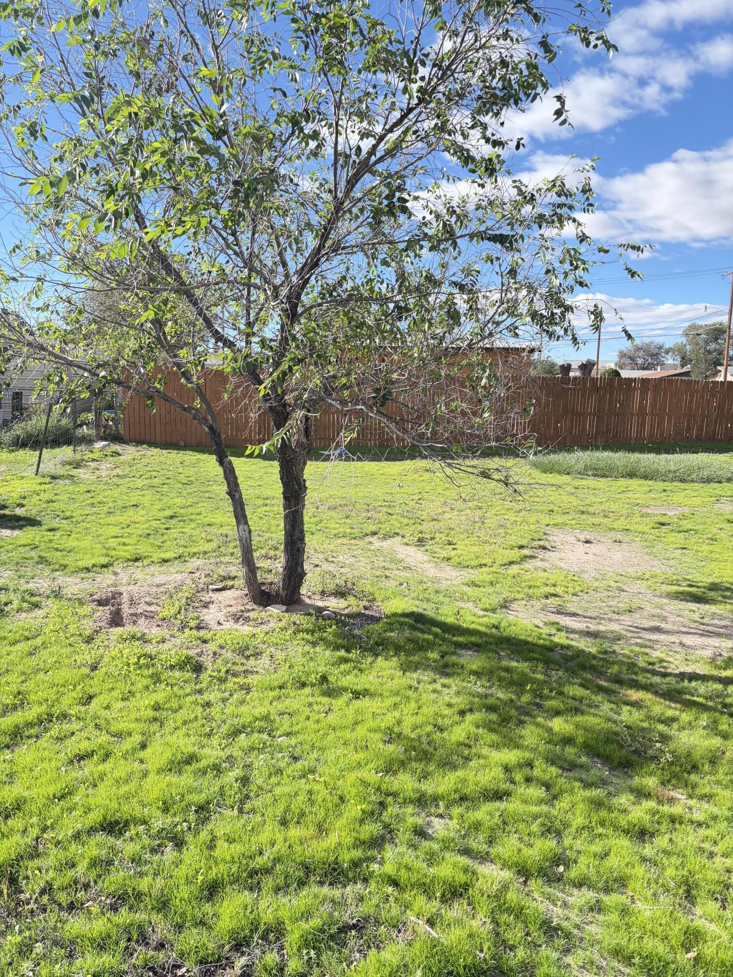 Photo 12 — 522 W Aragon Road