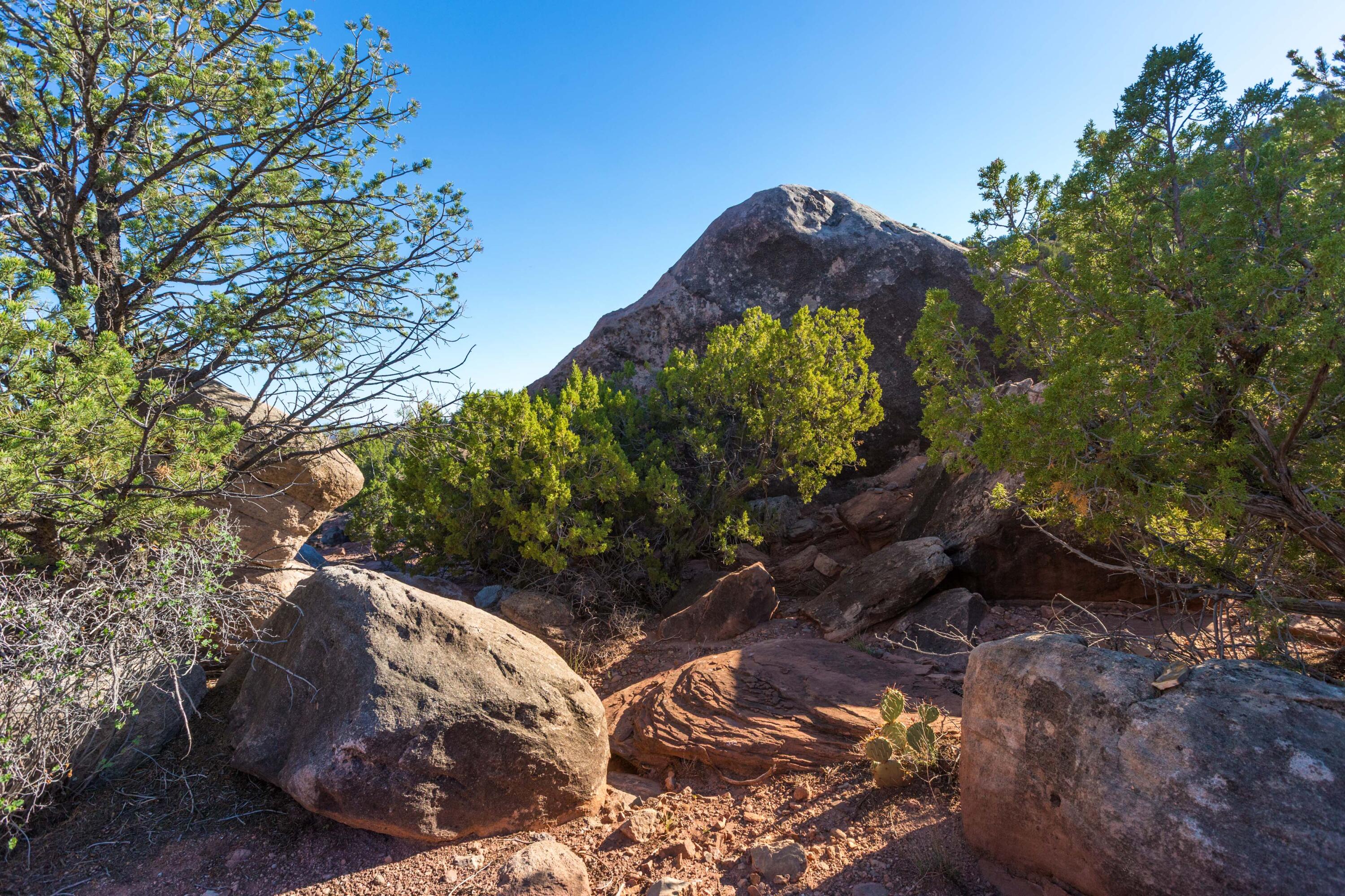 Photo 9 — 2500 New Mexico 485