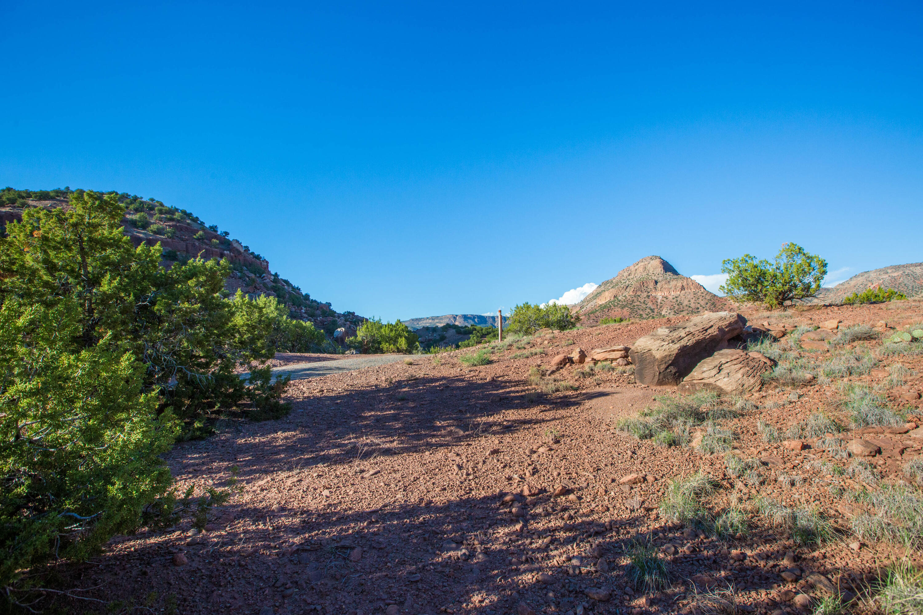 Photo 8 — 2500 New Mexico 485