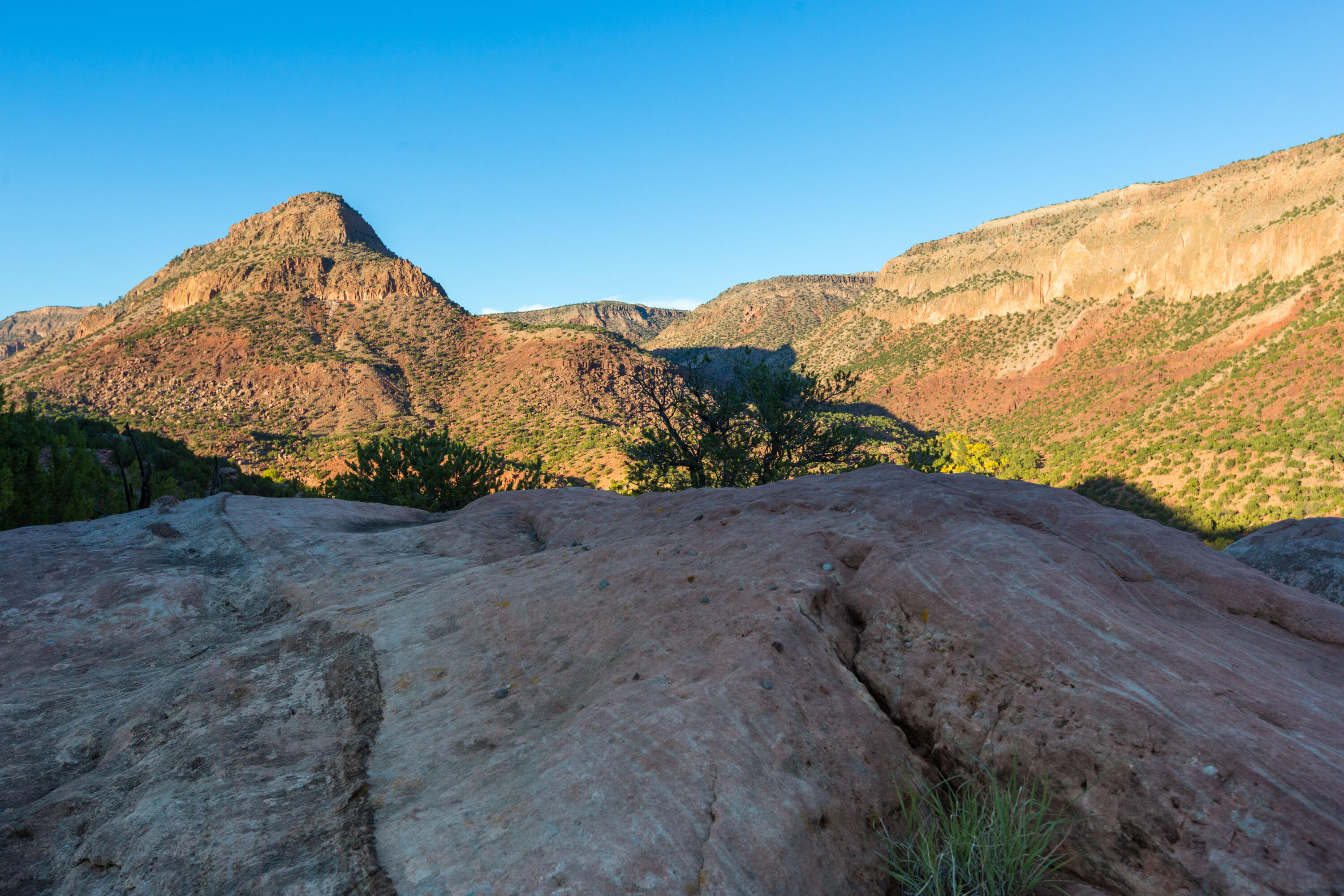 Photo 6 — 2500 New Mexico 485