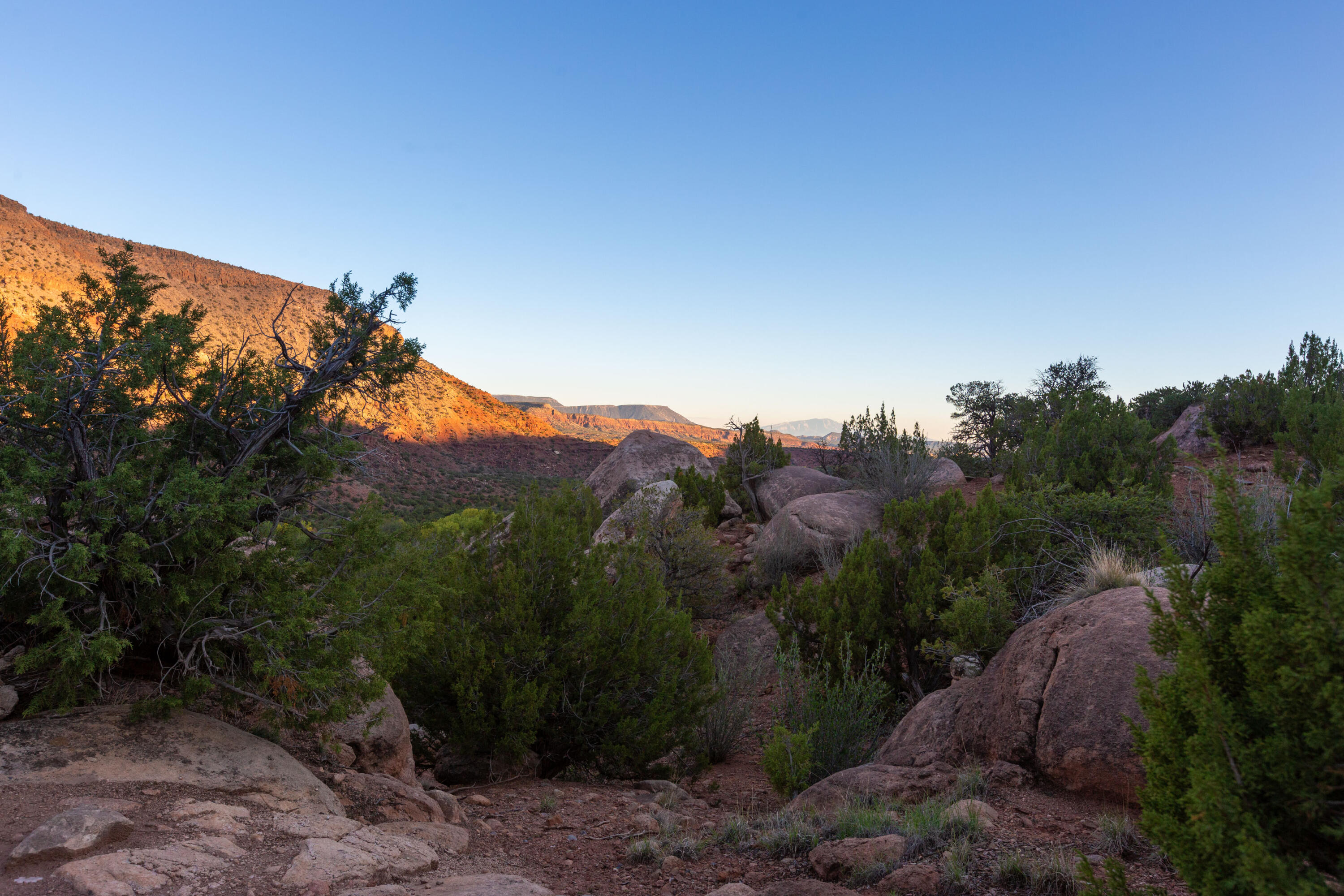 Photo 4 — 2500 New Mexico 485