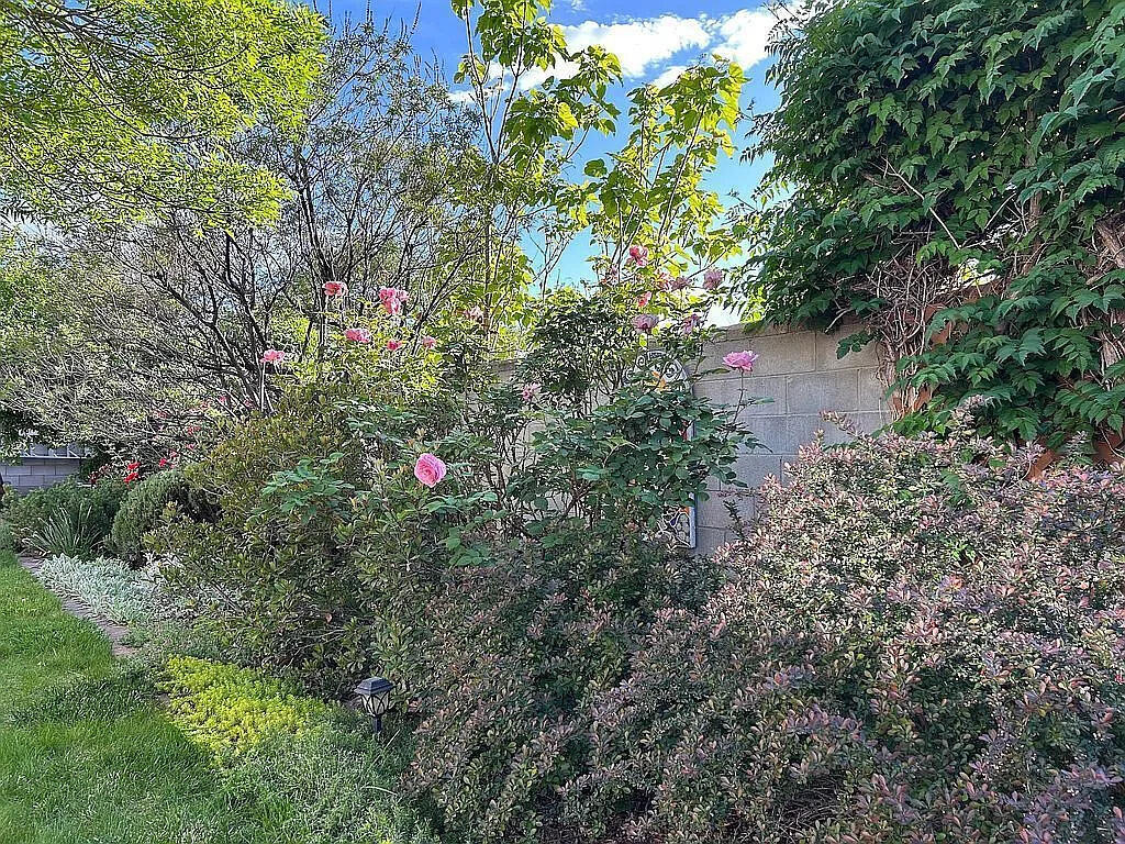 Photo 2 — 4515 Downey Street NE