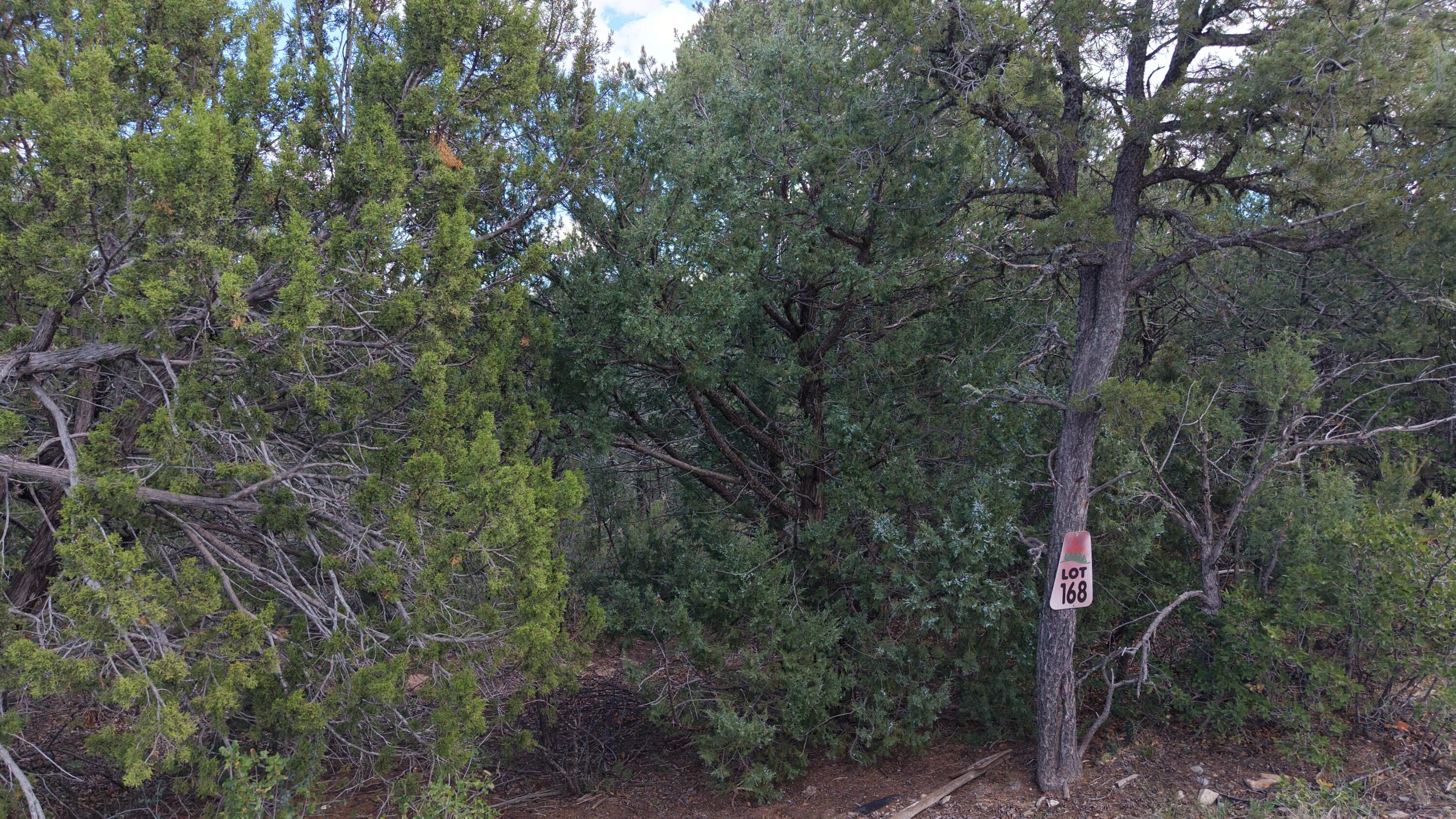 Photo 9 — 25 Los Pecos Loop