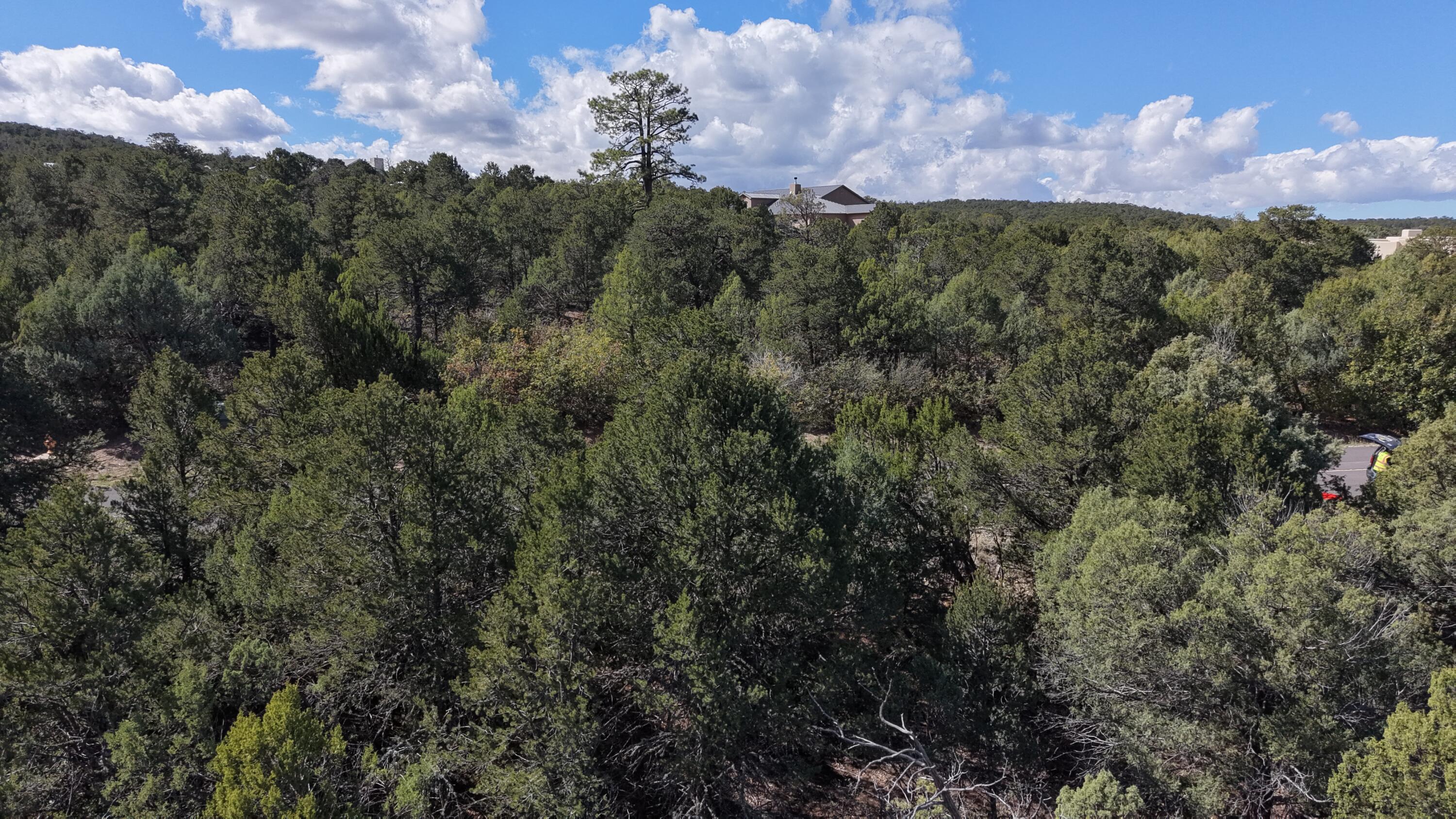 Photo 6 — 25 Los Pecos Loop