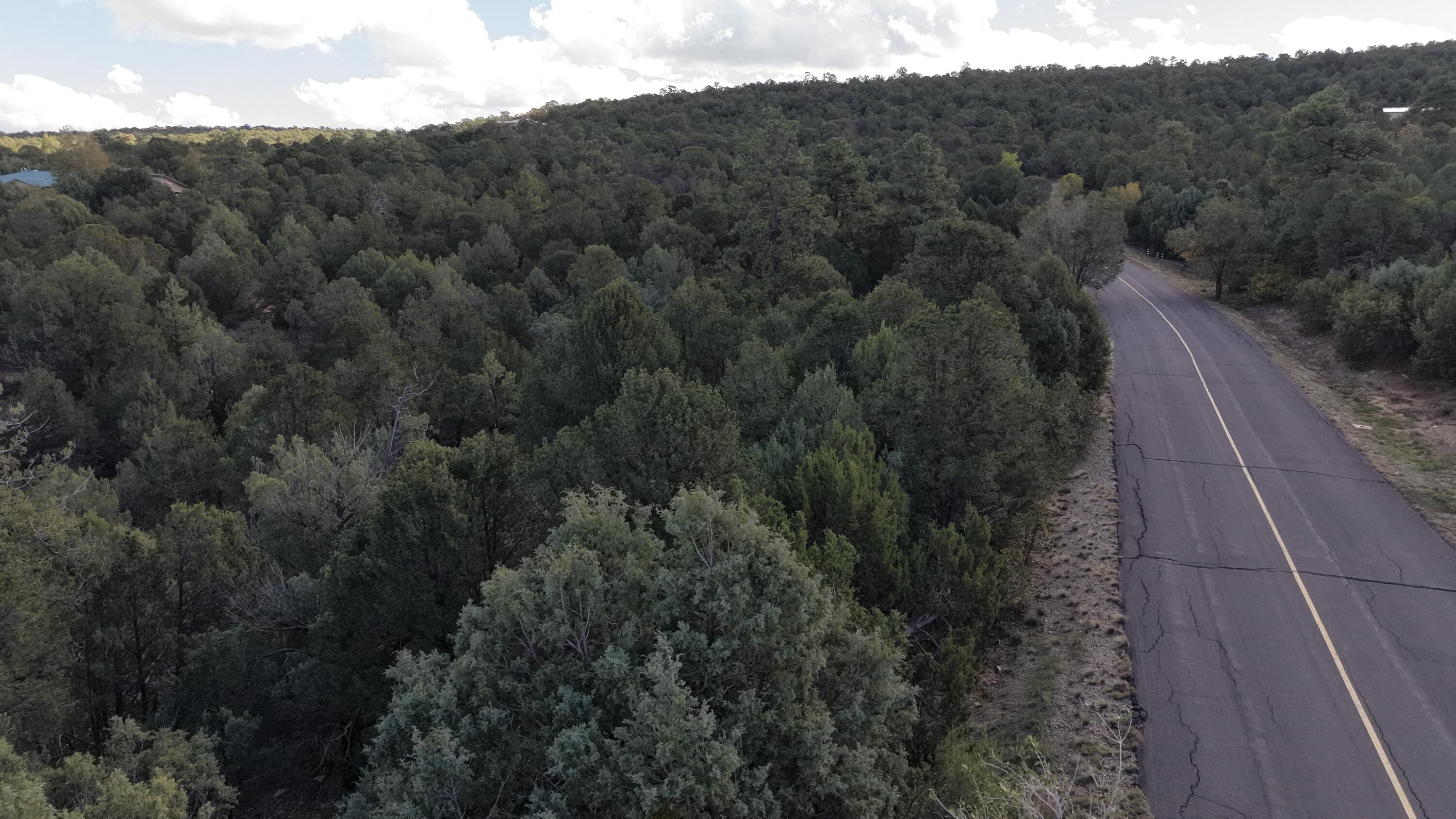 Photo 3 — 25 Los Pecos Loop