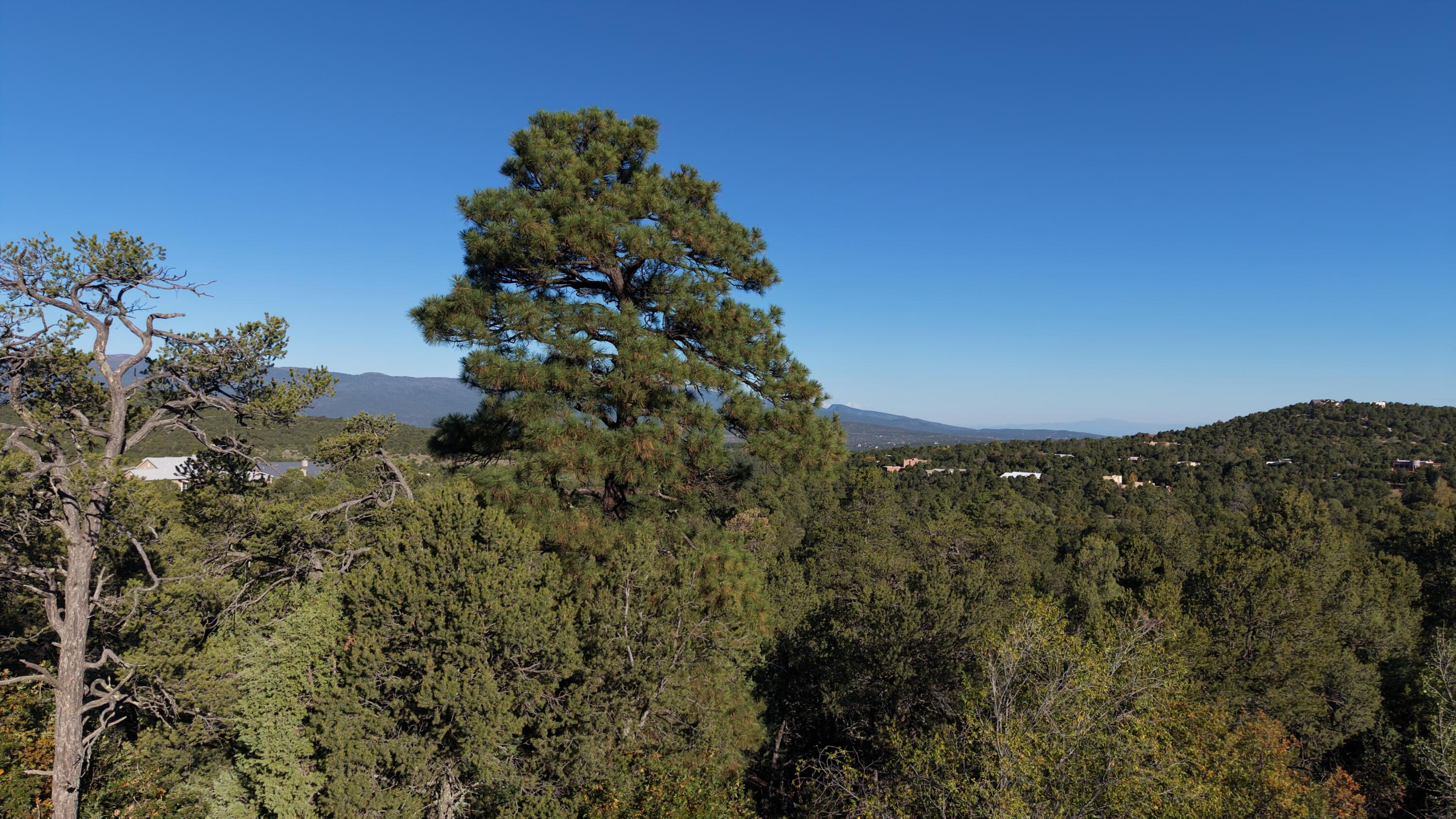 6 Los Pecos Loop
