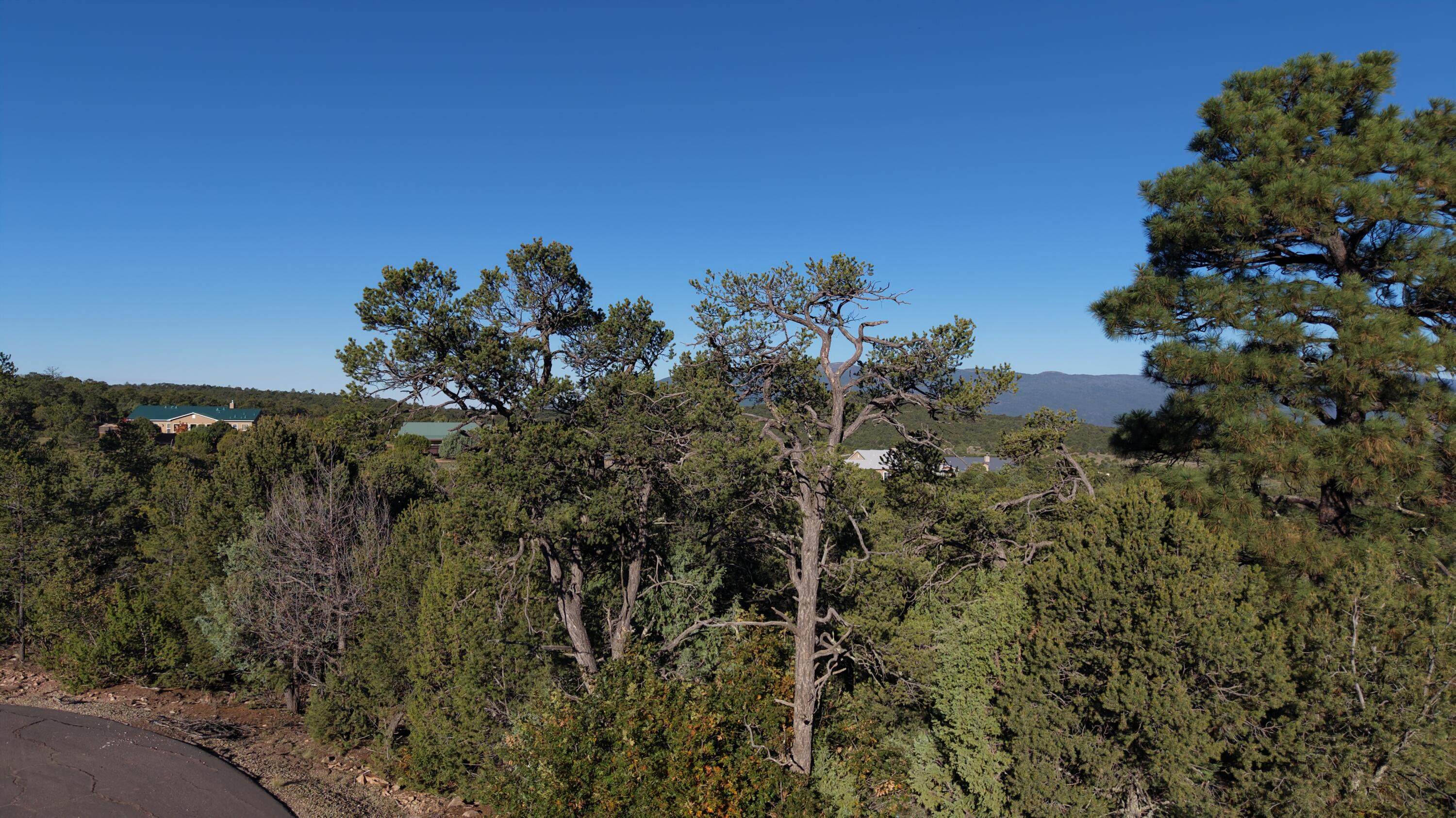Photo 9 — 6 Los Pecos Loop