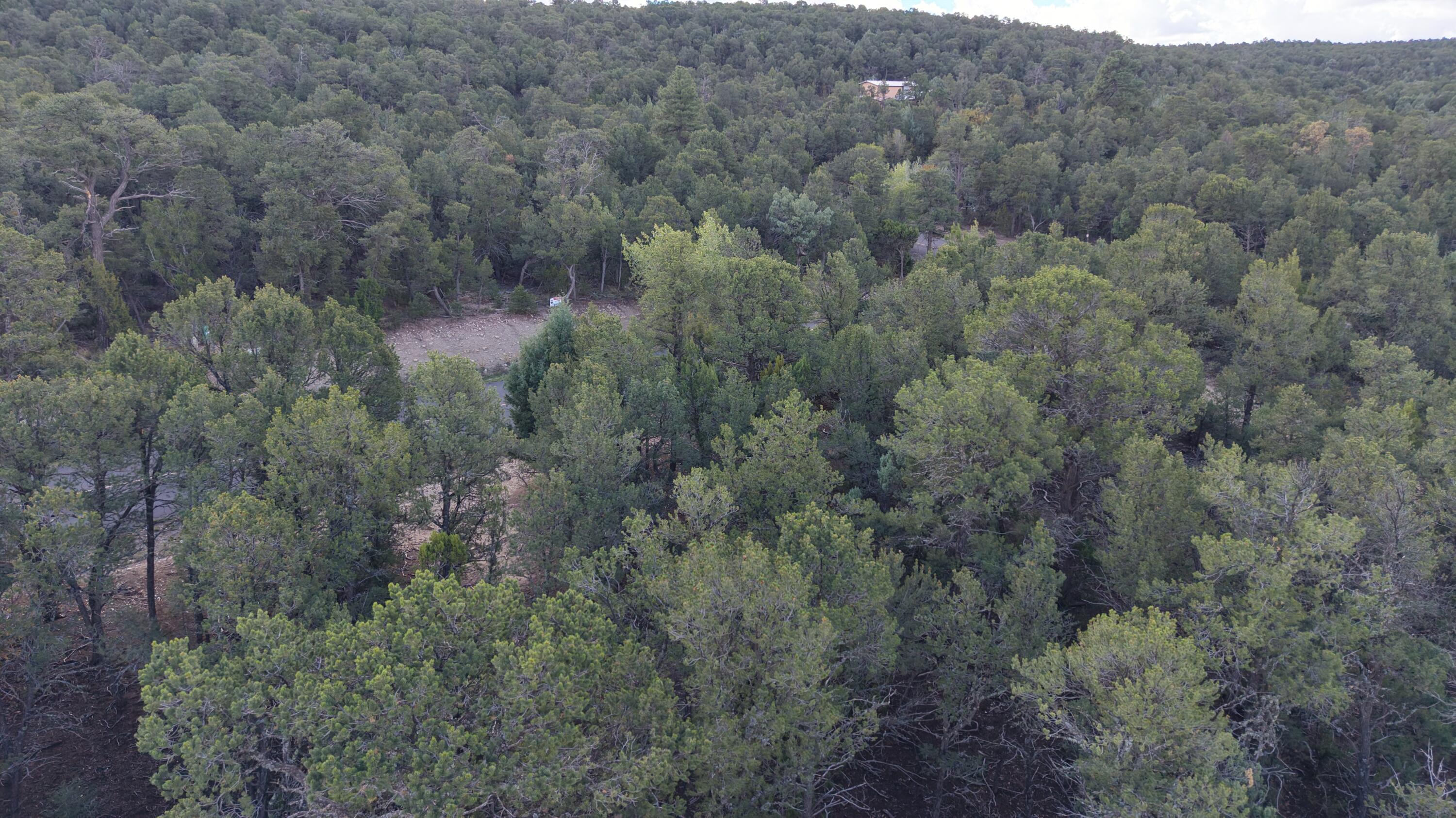 Photo 5 — 12 Los Pecos Trail