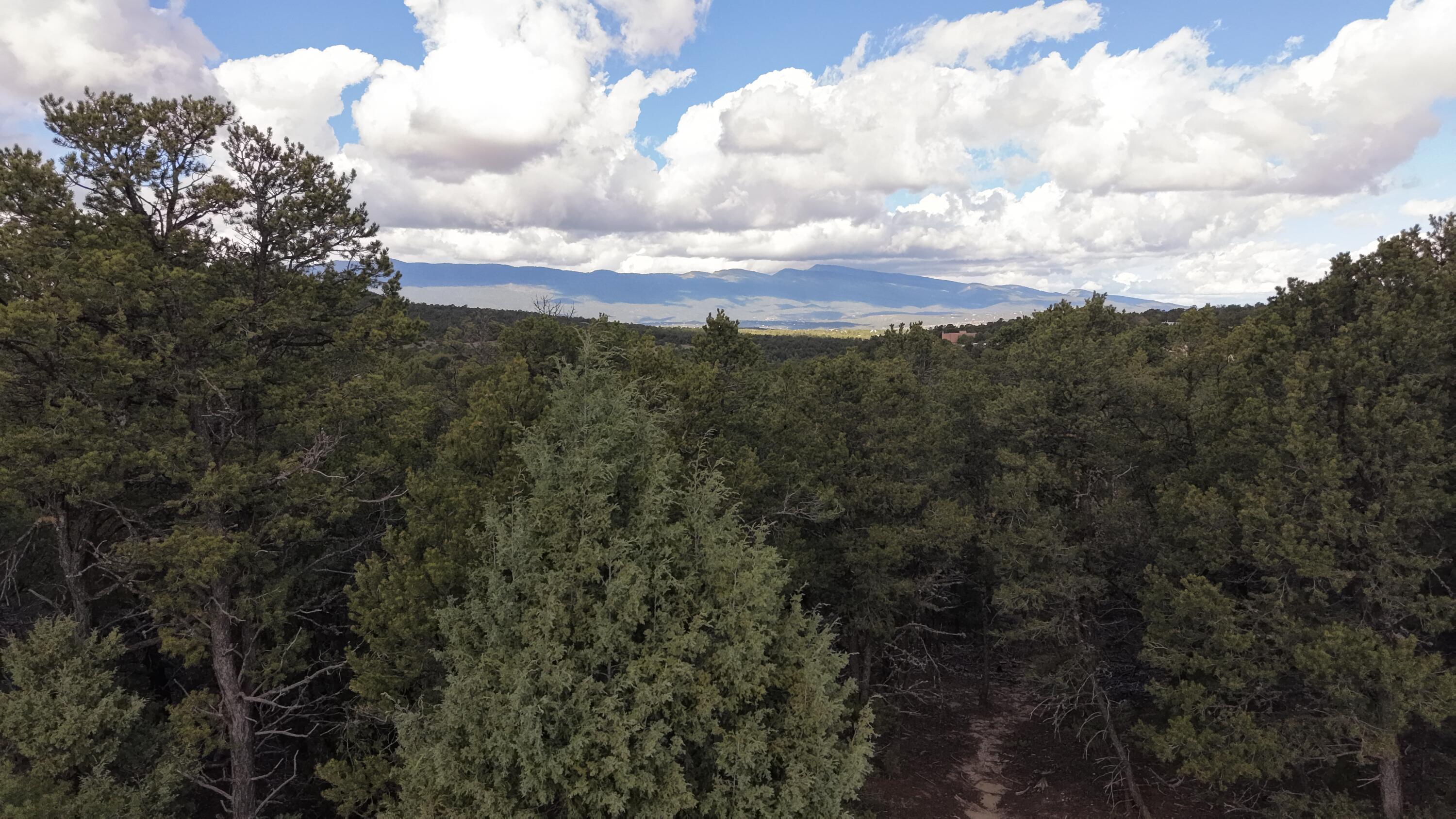 Photo 4 — 12 Los Pecos Trail