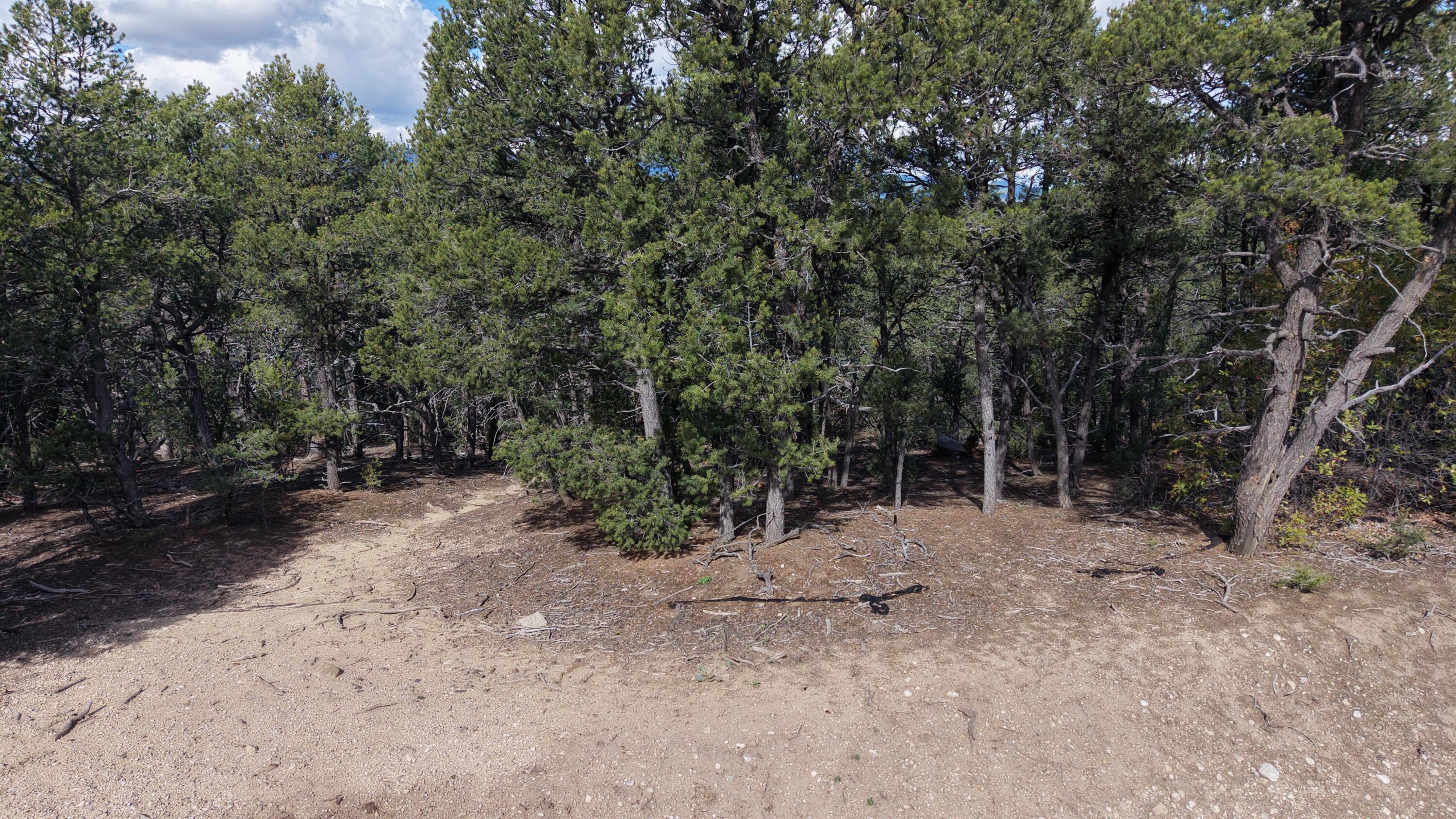 Photo 10 — 12 Los Pecos Trail