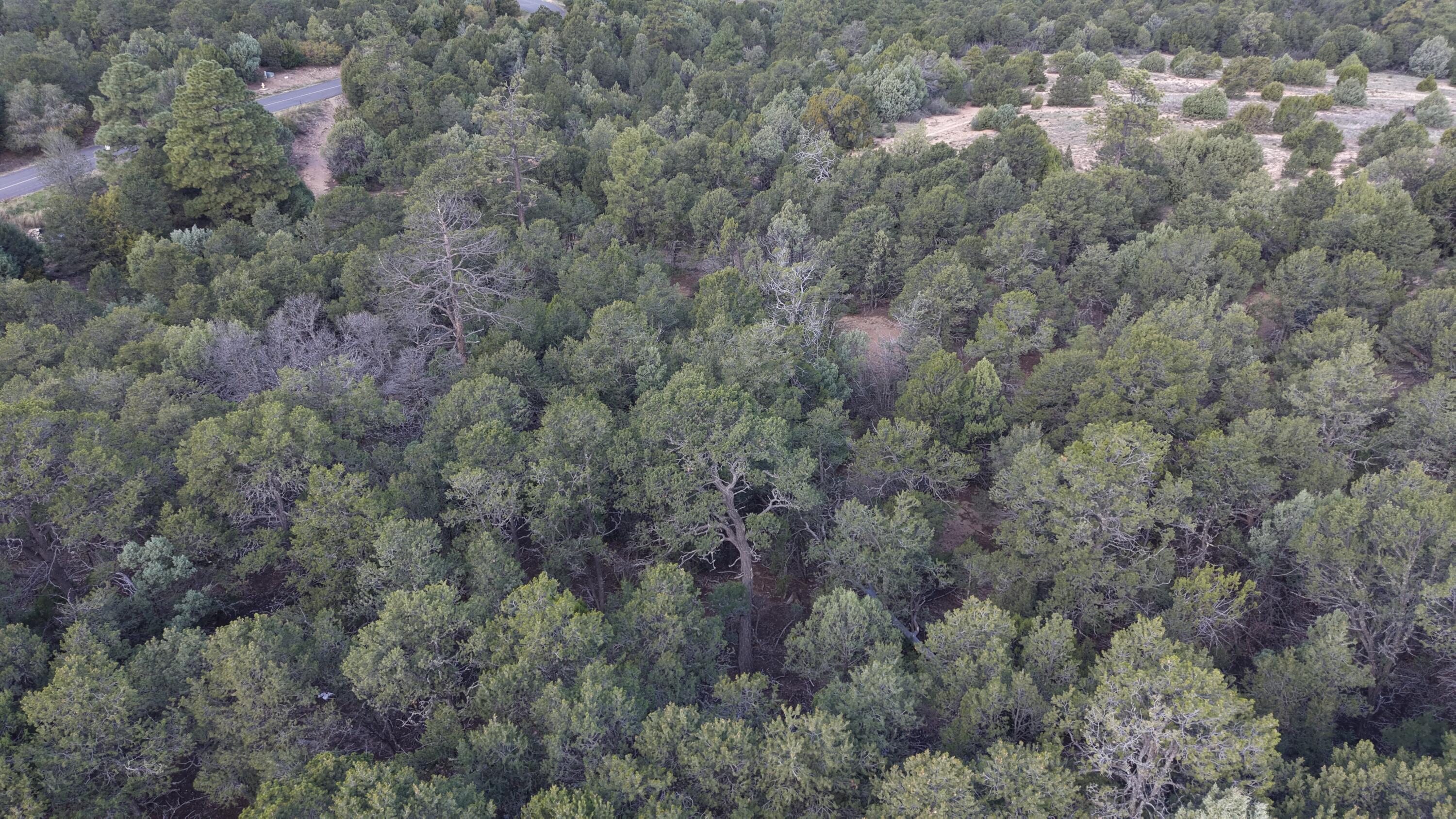 Photo 7 — 12 Los Pecos Trail