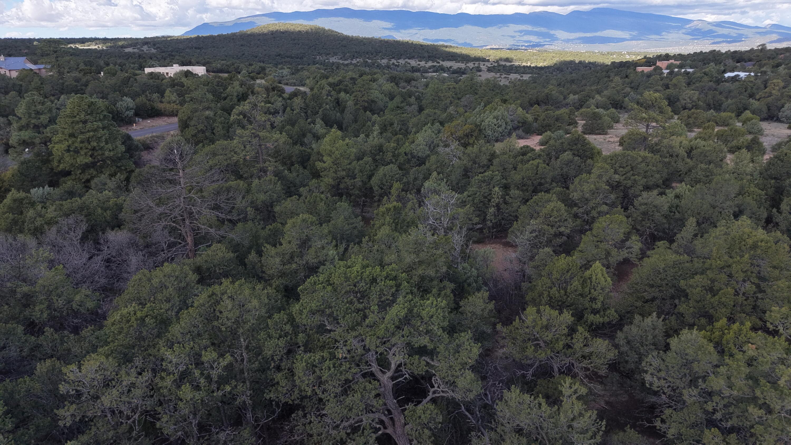 Photo 6 — 12 Los Pecos Trail