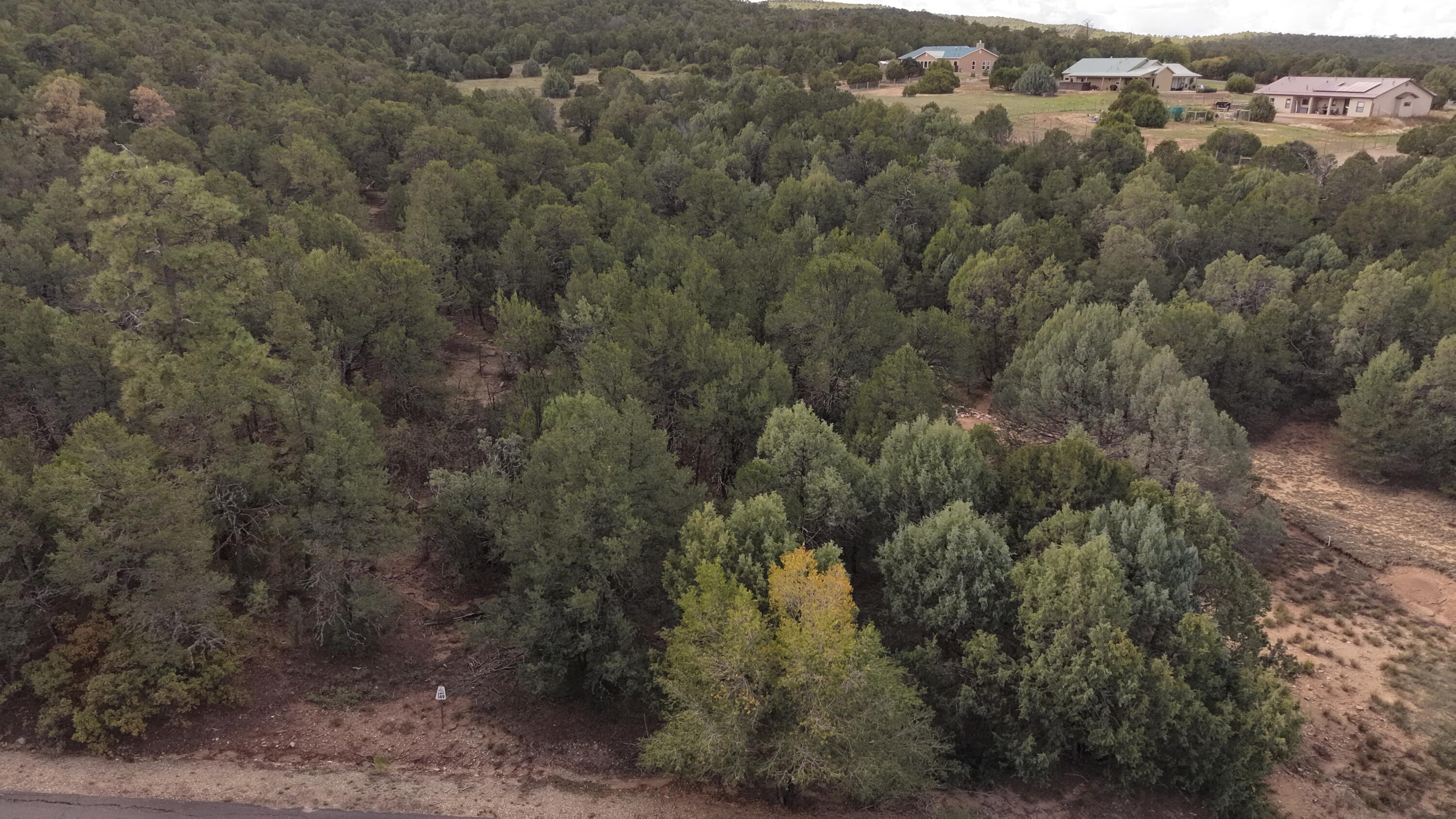 Photo 8 — 14 Los Pecos Lp Loop