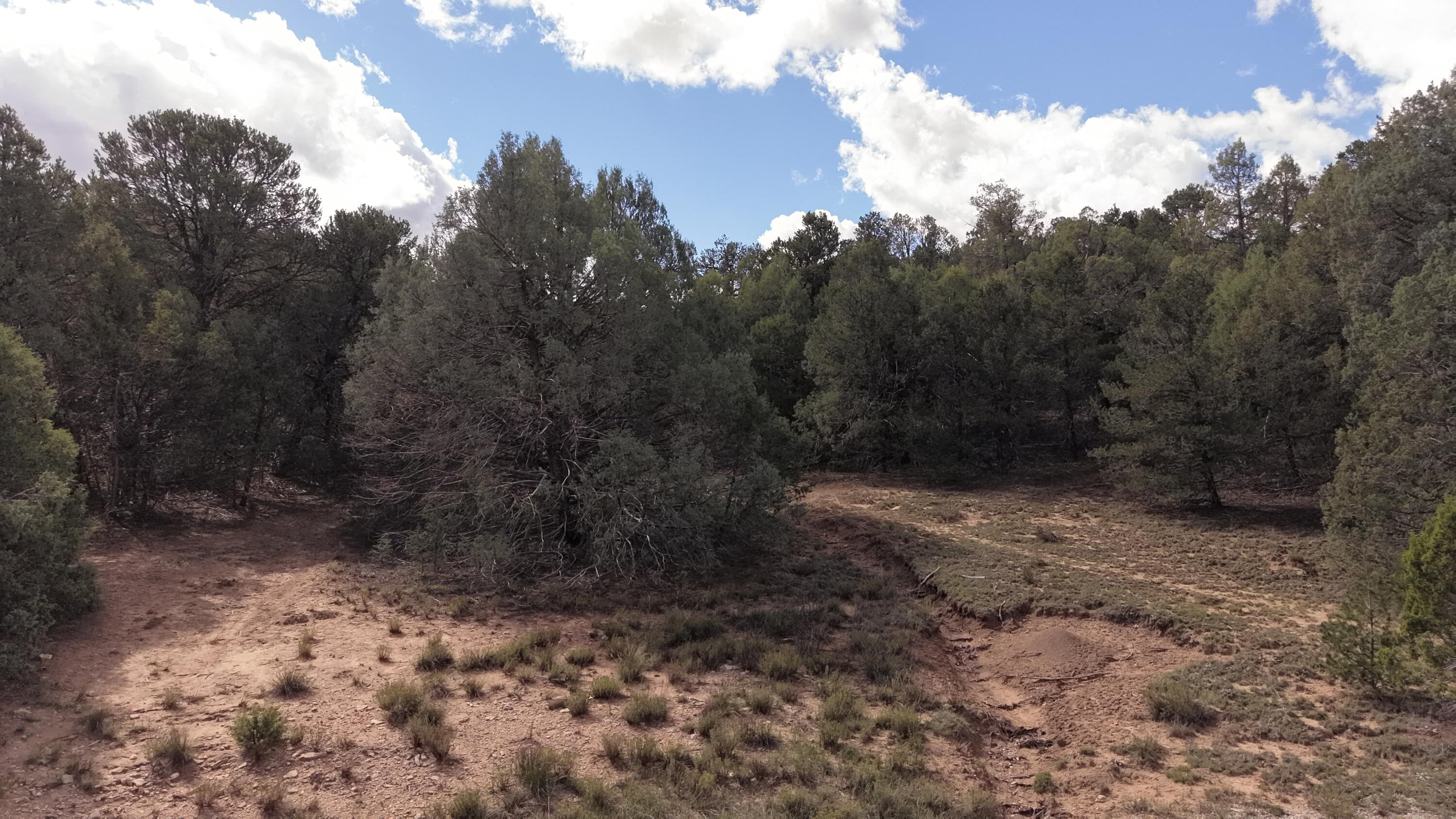 Photo 16 — 14 Los Pecos Lp Loop