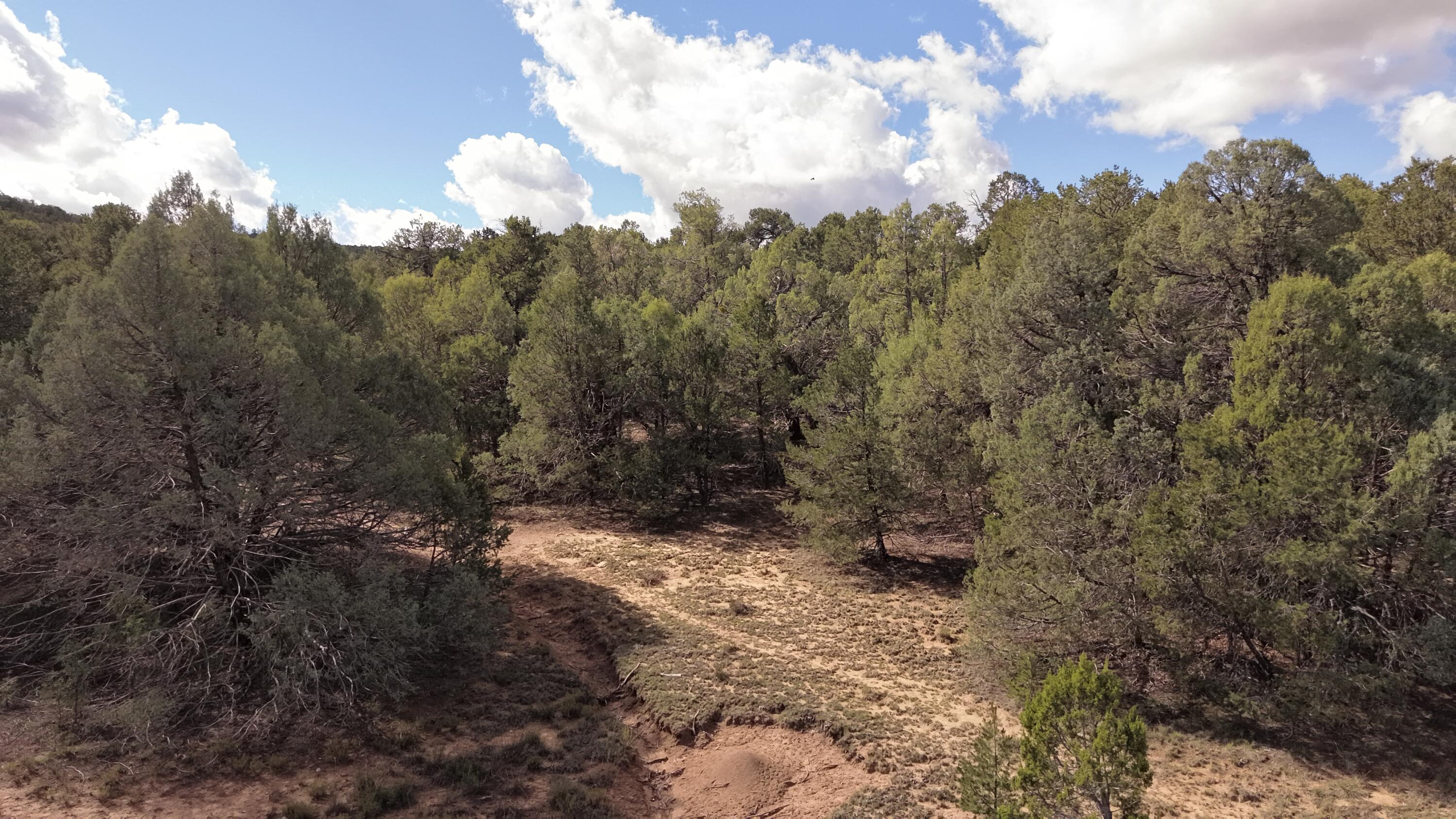 Photo 14 — 14 Los Pecos Lp Loop