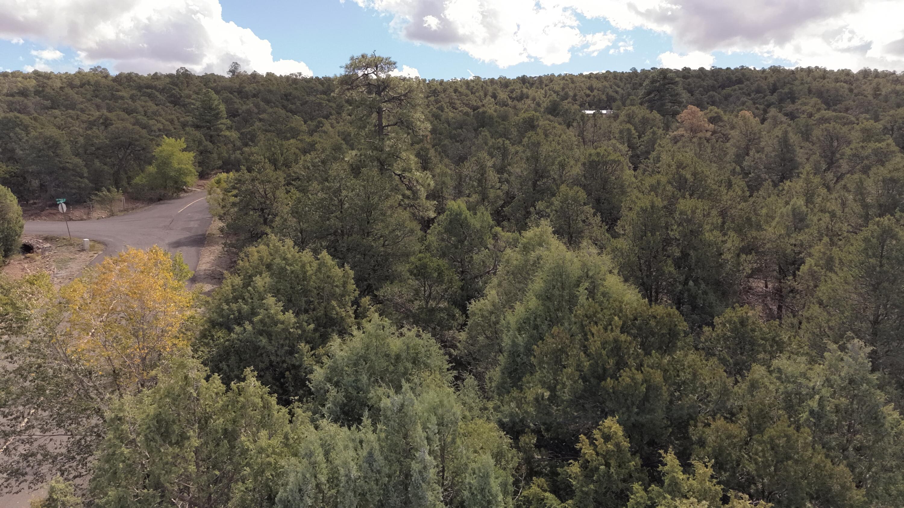 Photo 13 — 14 Los Pecos Lp Loop