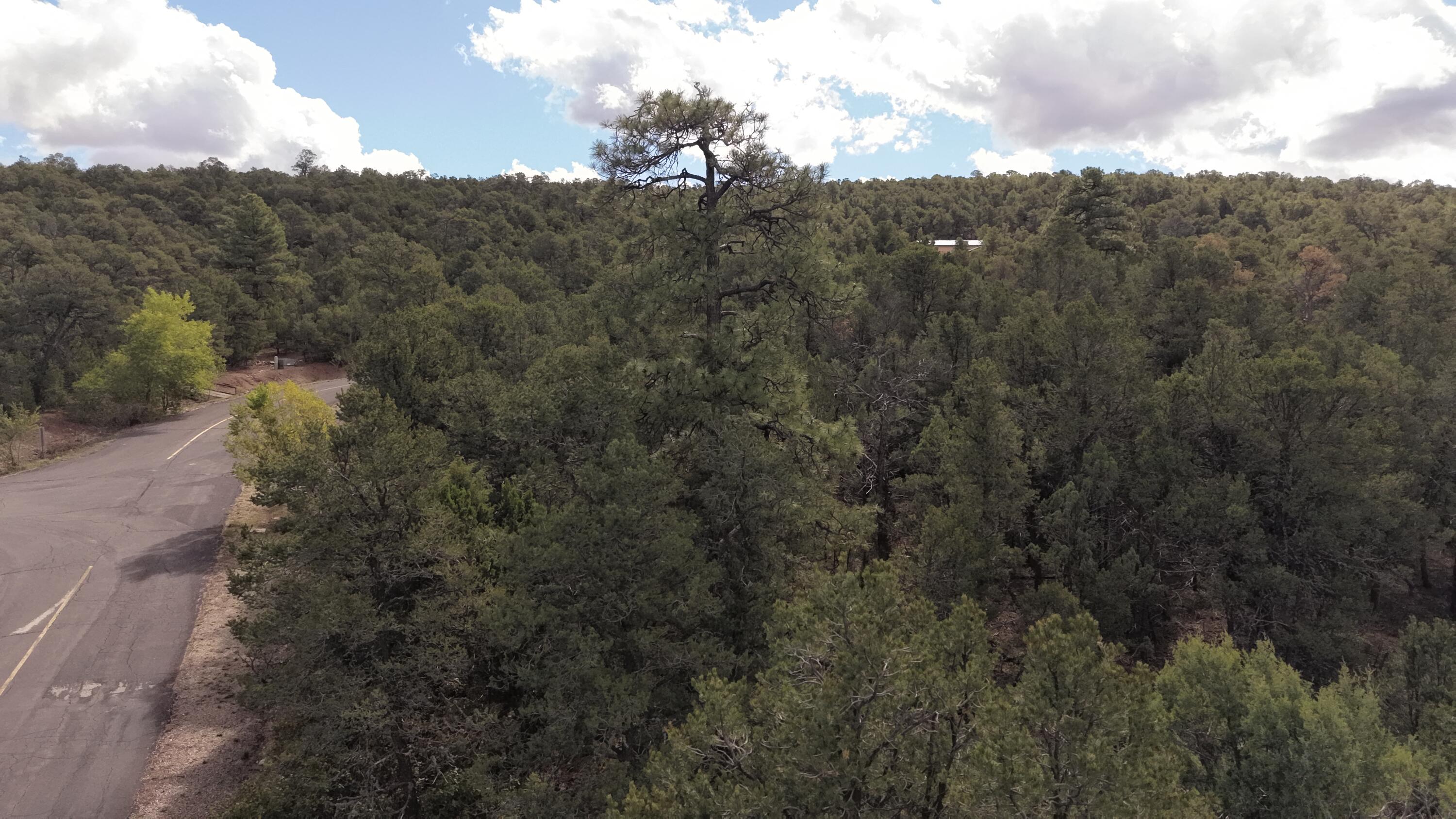 Photo 12 — 14 Los Pecos Lp Loop