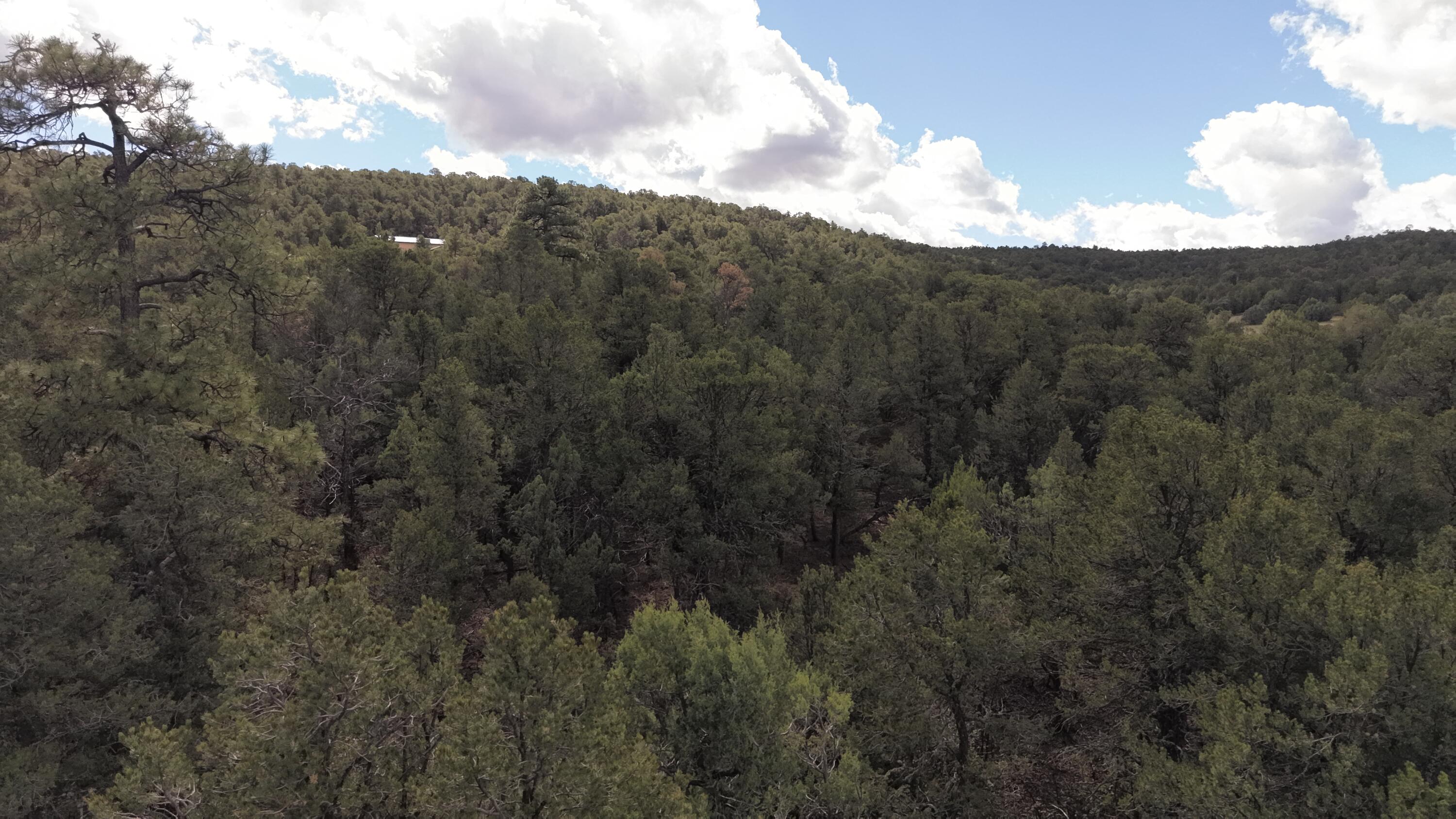 Photo 11 — 14 Los Pecos Lp Loop