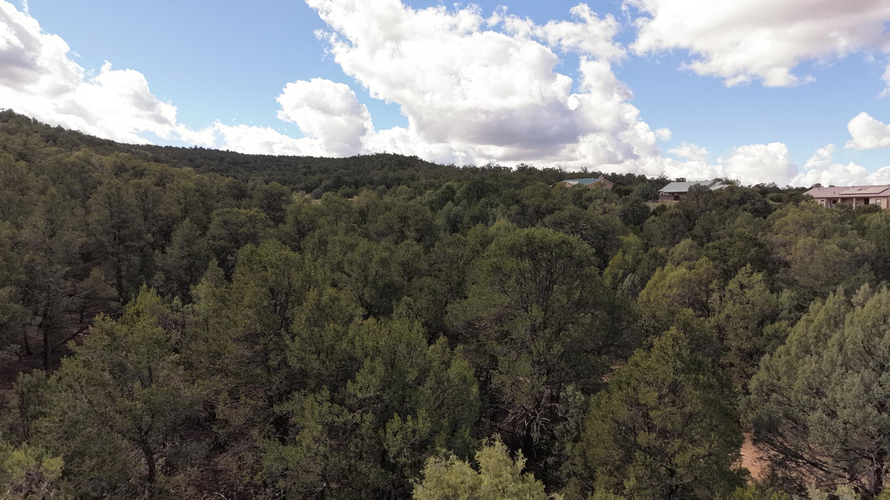 Photo 10 — 14 Los Pecos Lp Loop