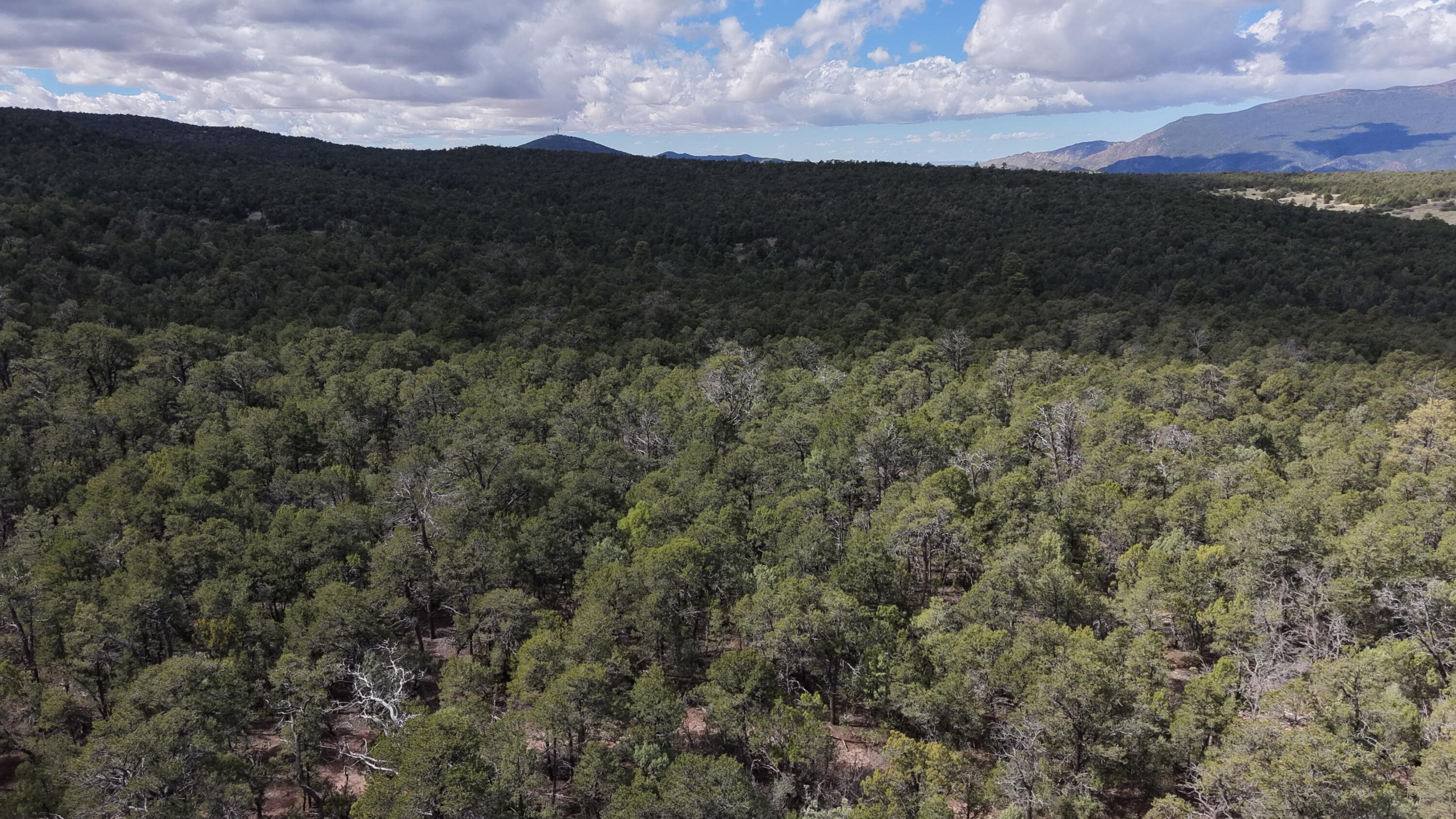 Photo 2 — 50 Los Pecos Loop