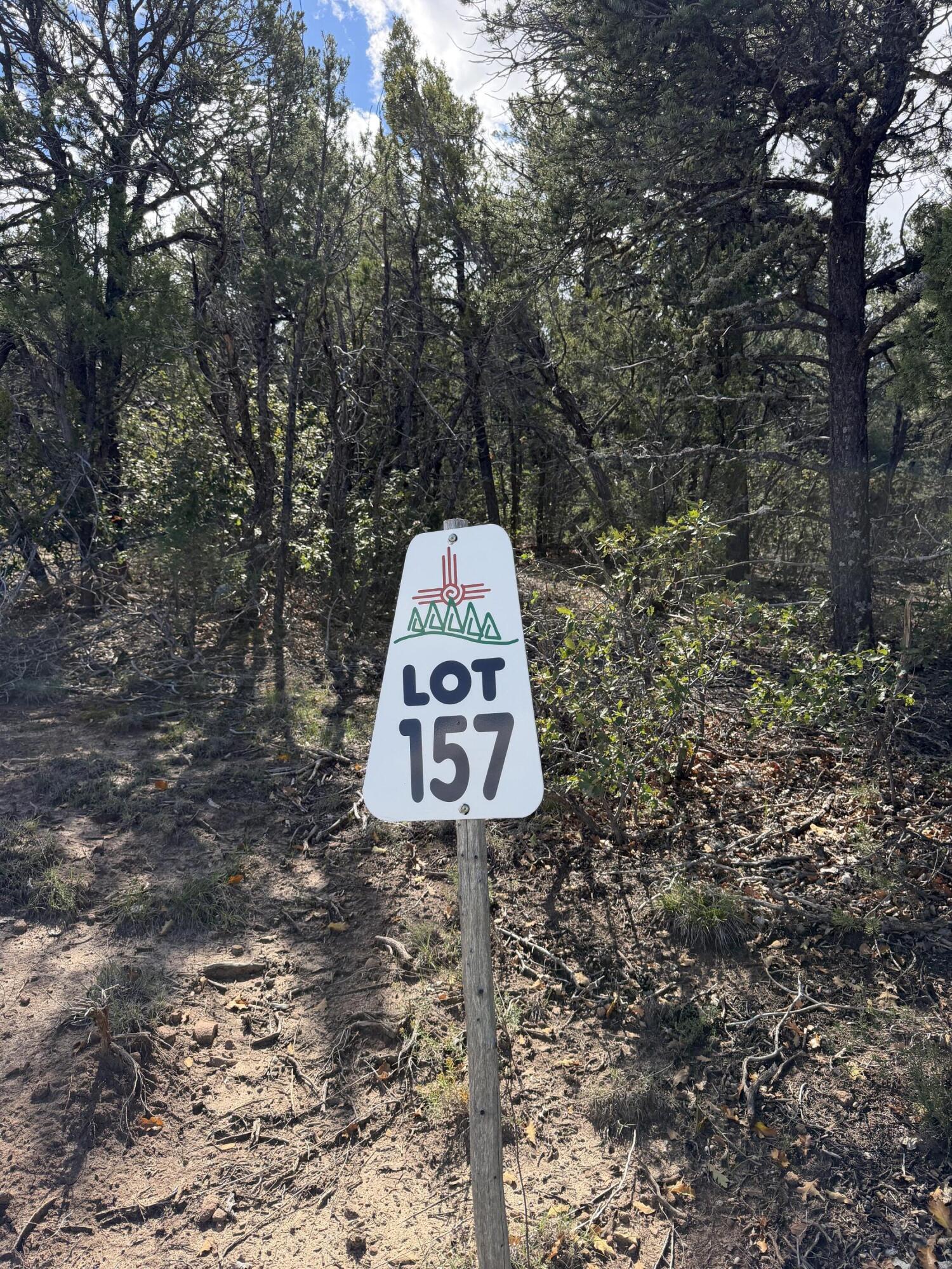 Photo 14 — 50 Los Pecos Loop