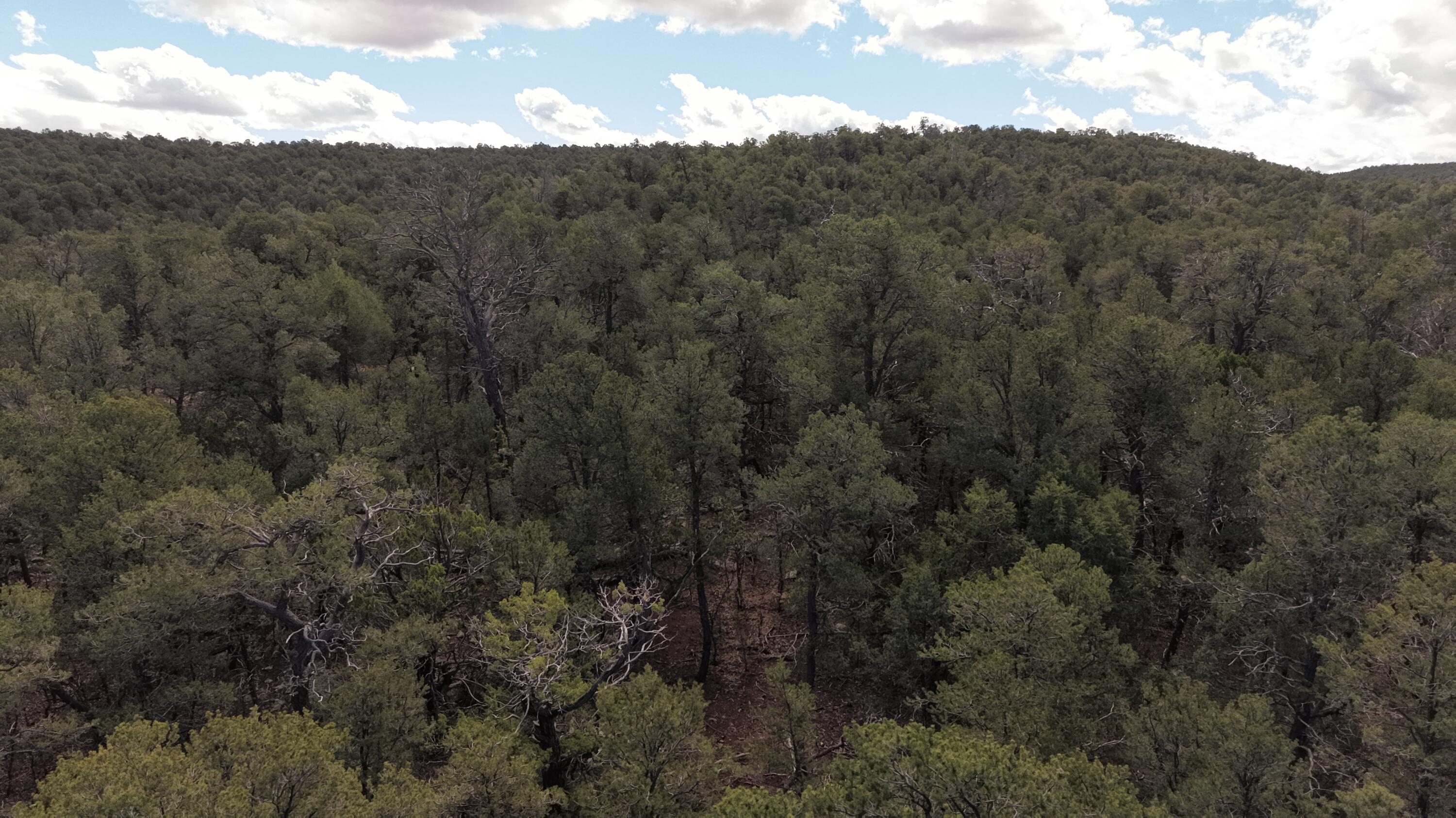 Photo 9 — 50 Los Pecos Loop