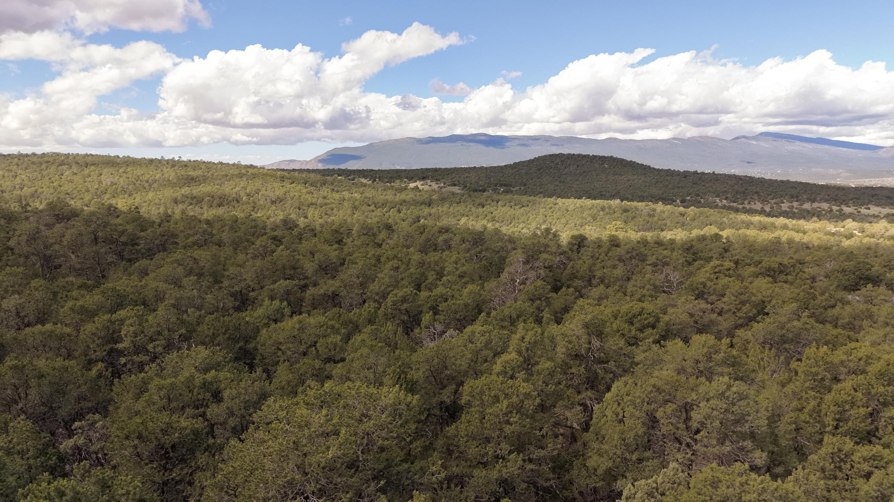 Photo 8 — 50 Los Pecos Loop